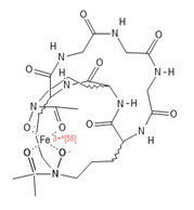 Fermentation 09 00363 i005 Fermentation 09 00363 i005