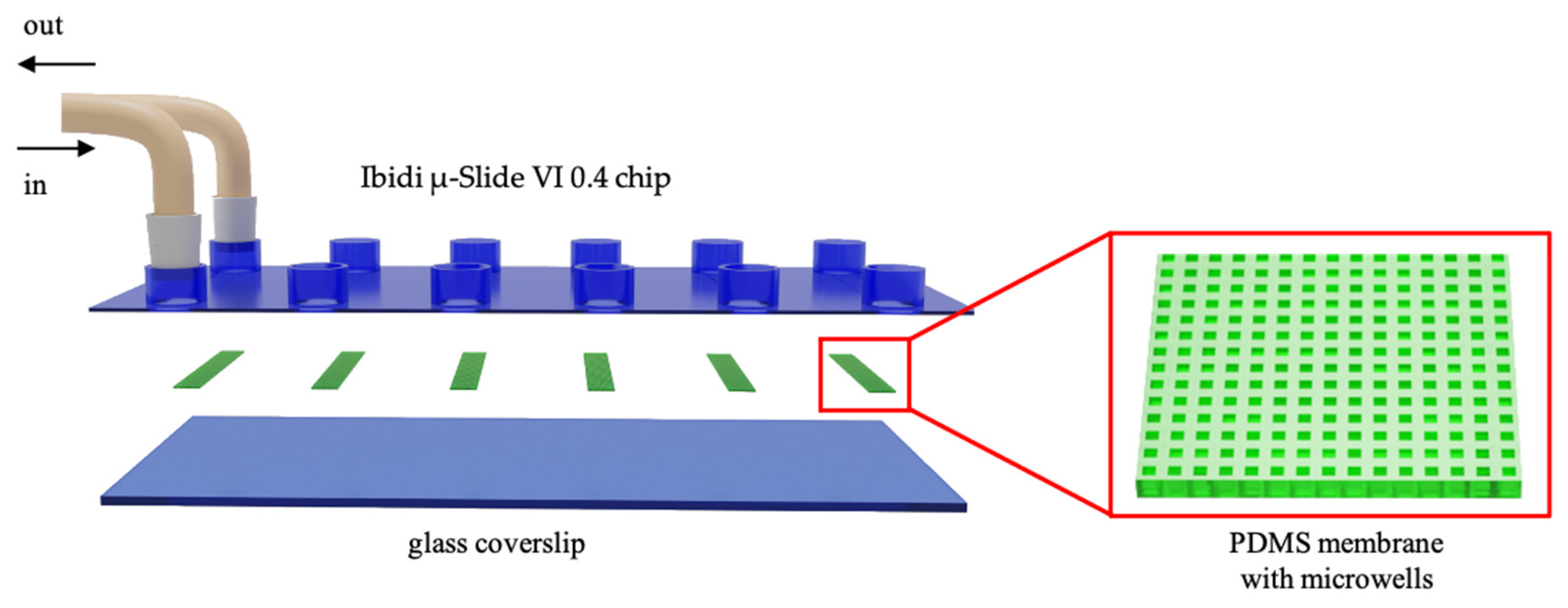 Fermentation 09 00365 g001