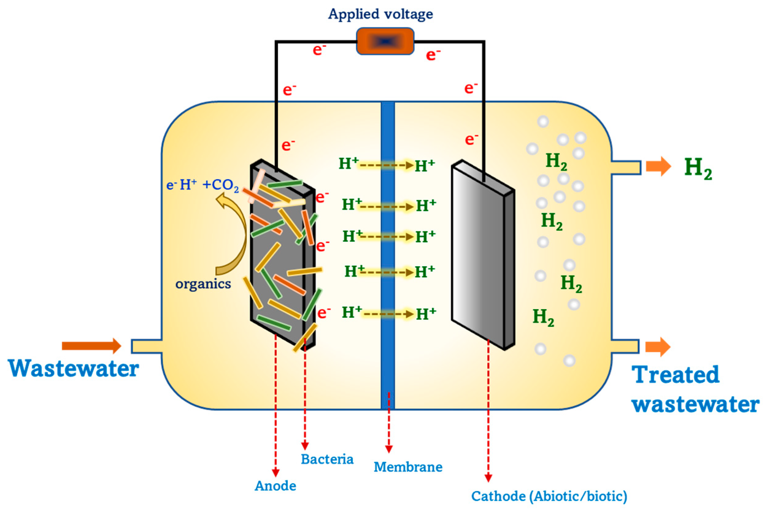 Fermentation 09 00368 g002 Fermentation 09 00368 g002