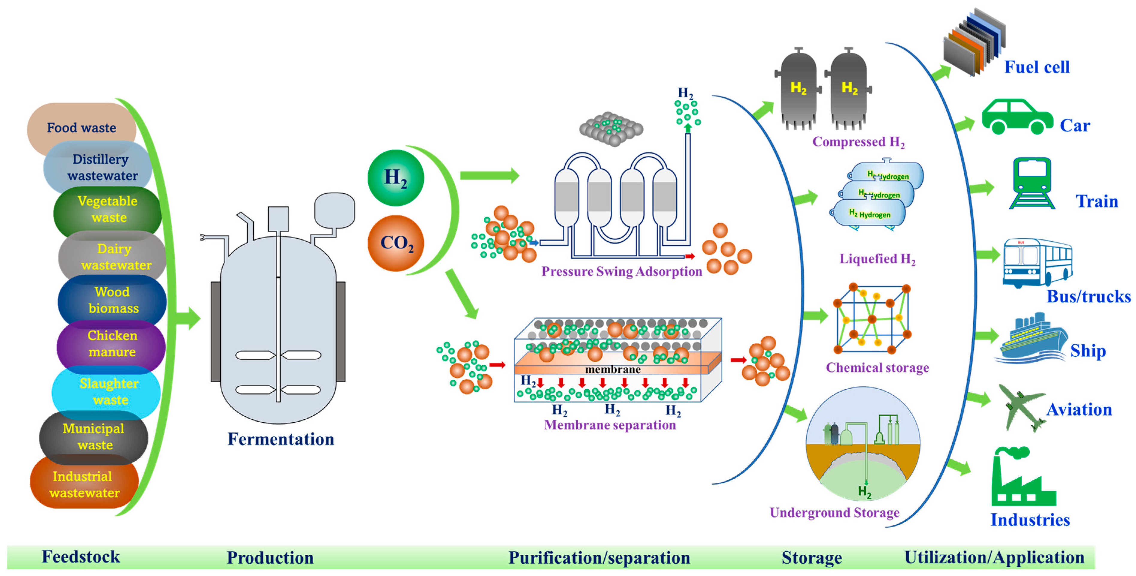 Fermentation 09 00368 g003 Fermentation 09 00368 g003