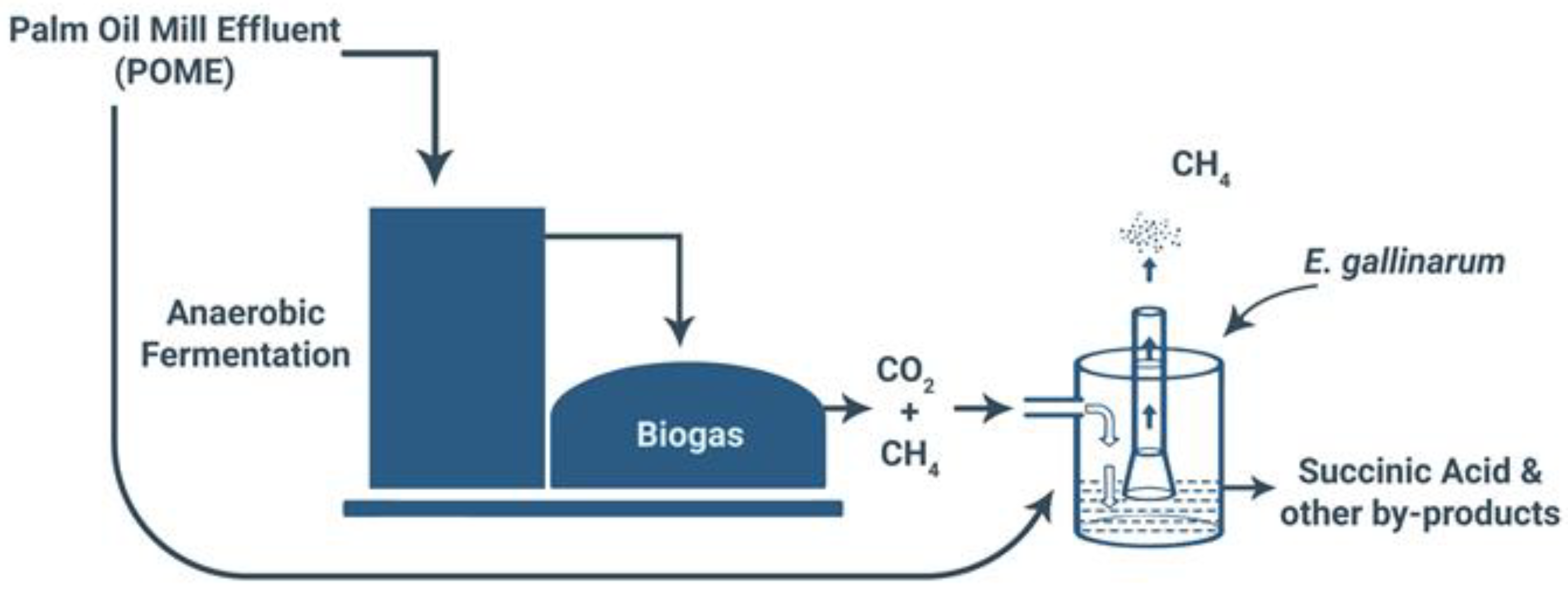 Fermentation 09 00369 g001