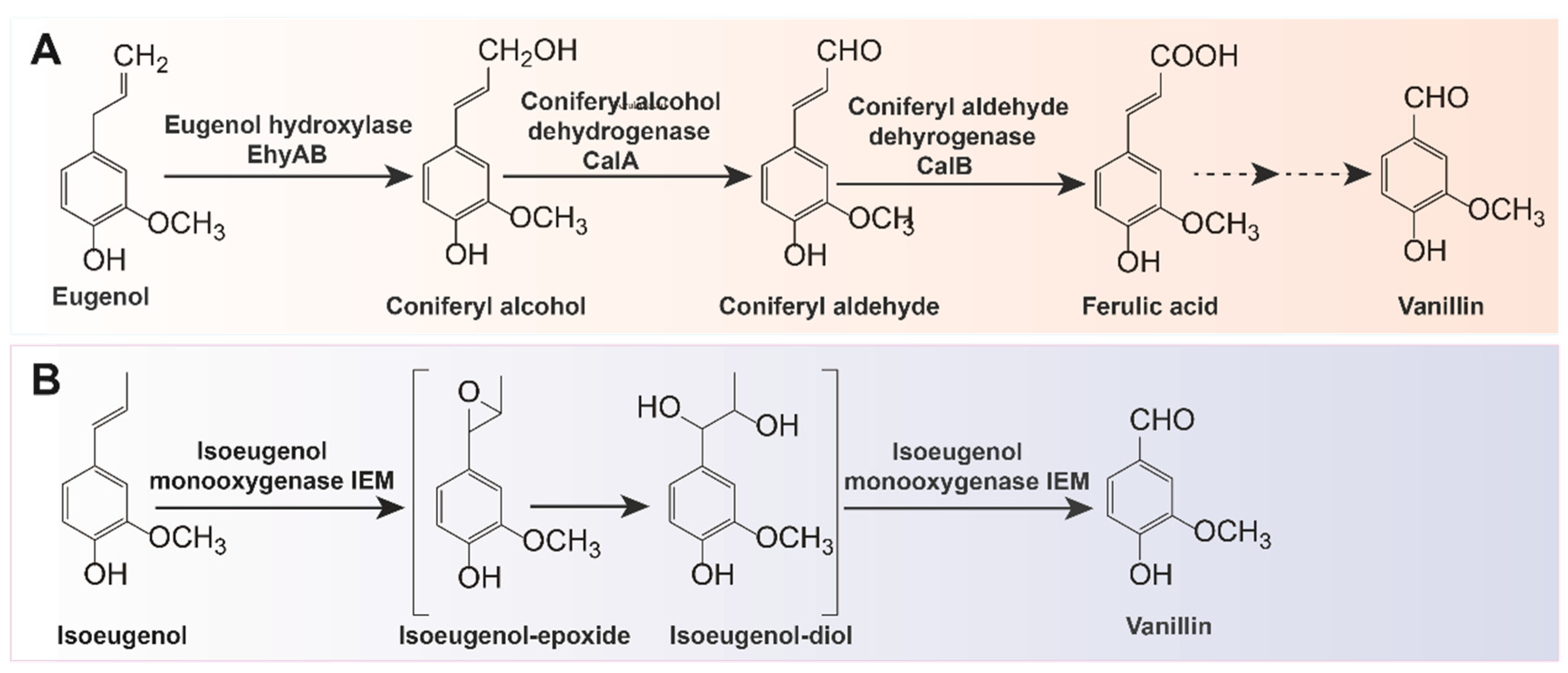Fermentation 09 00389 g003 Fermentation 09 00389 g003