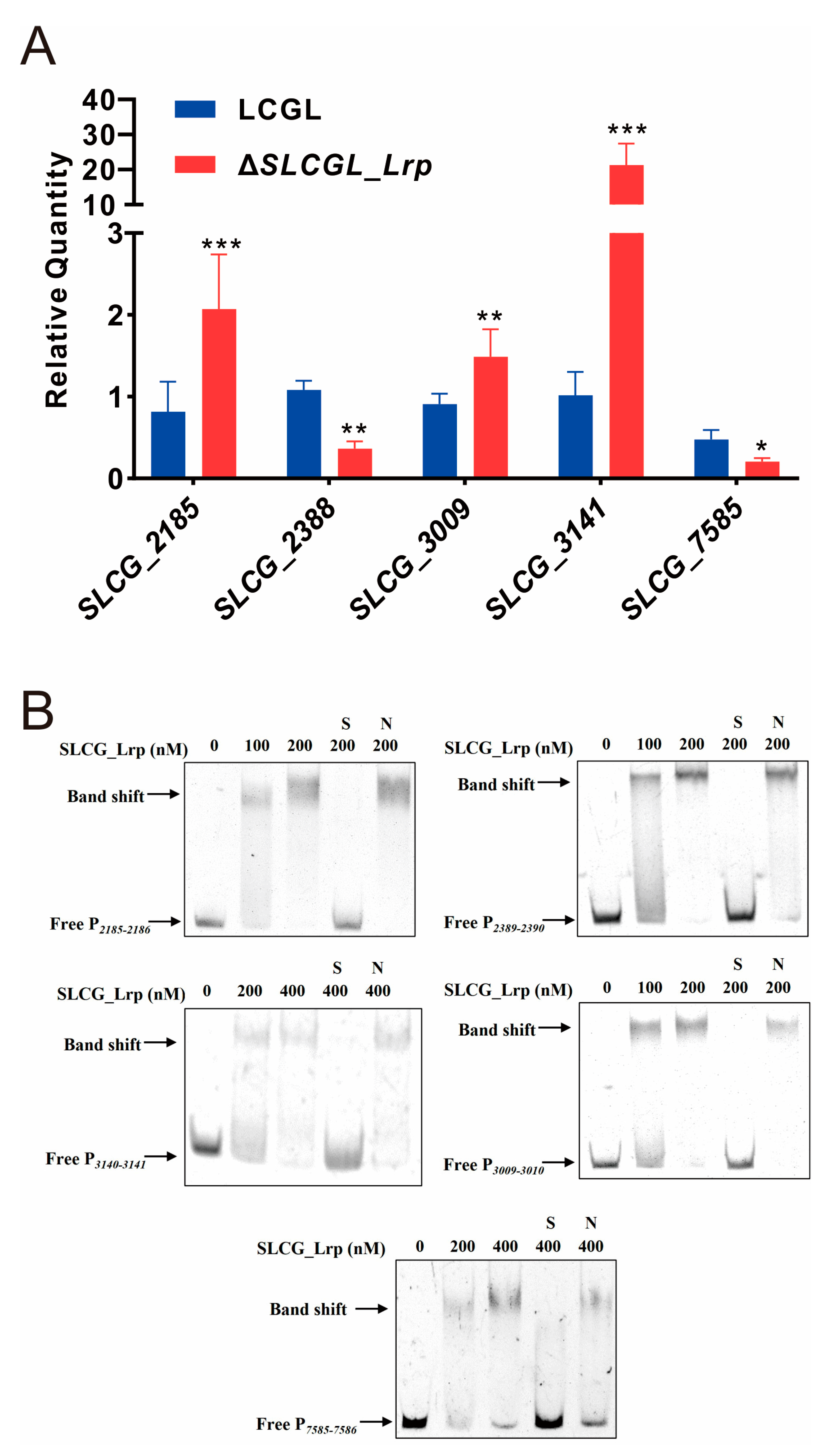 Fermentation 09 00396 g005 Fermentation 09 00396 g005