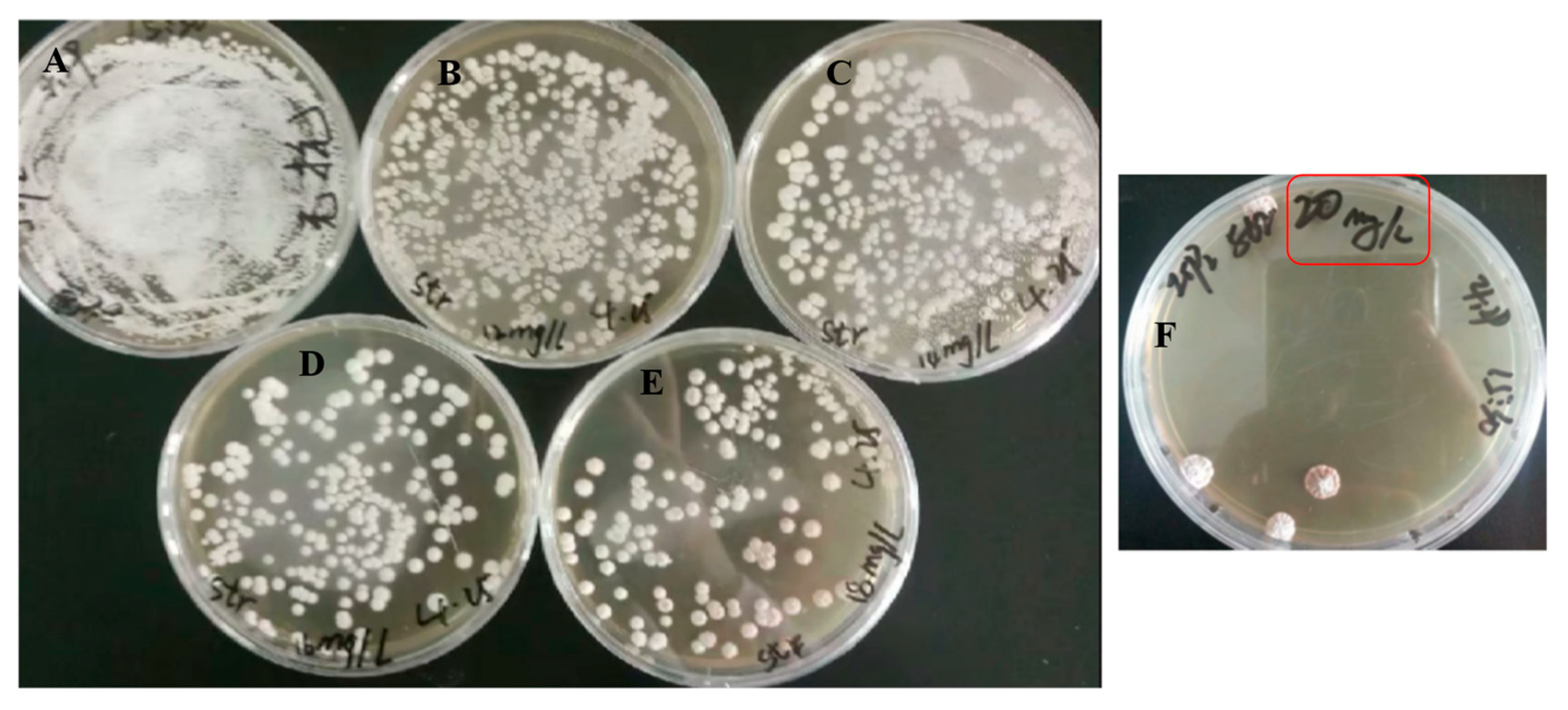 Fermentation 09 00398 g002