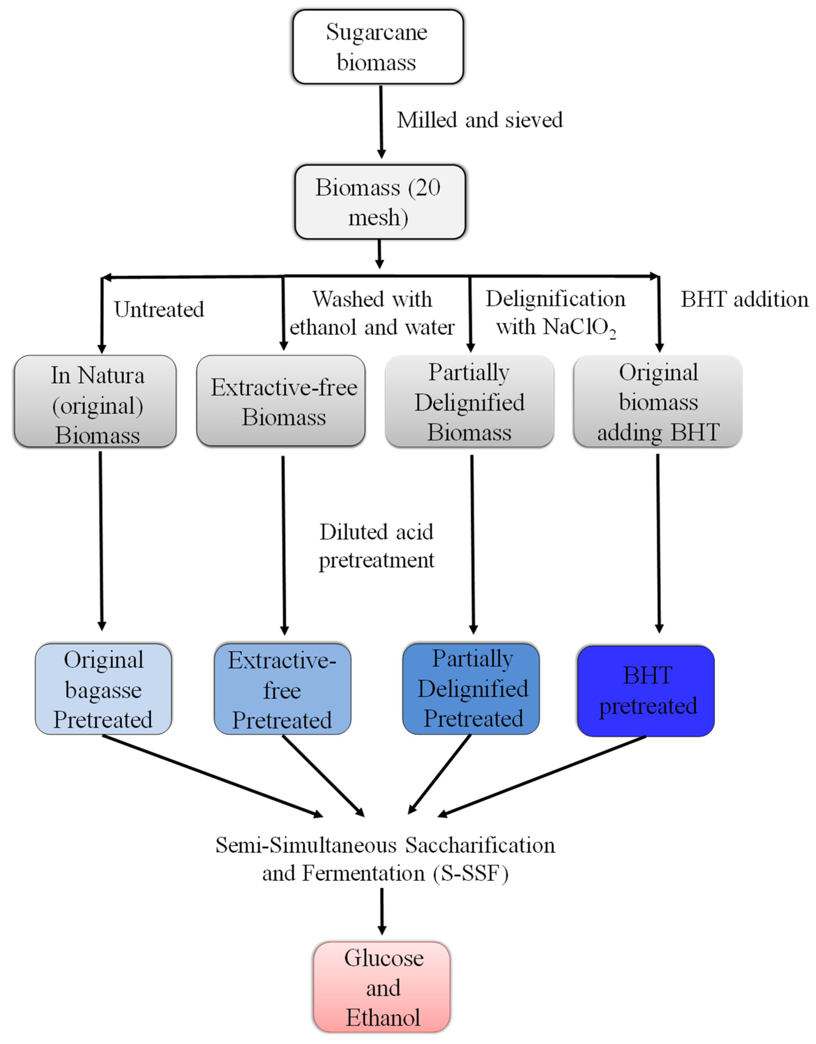 Fermentation 09 00405 g001 Fermentation 09 00405 g001