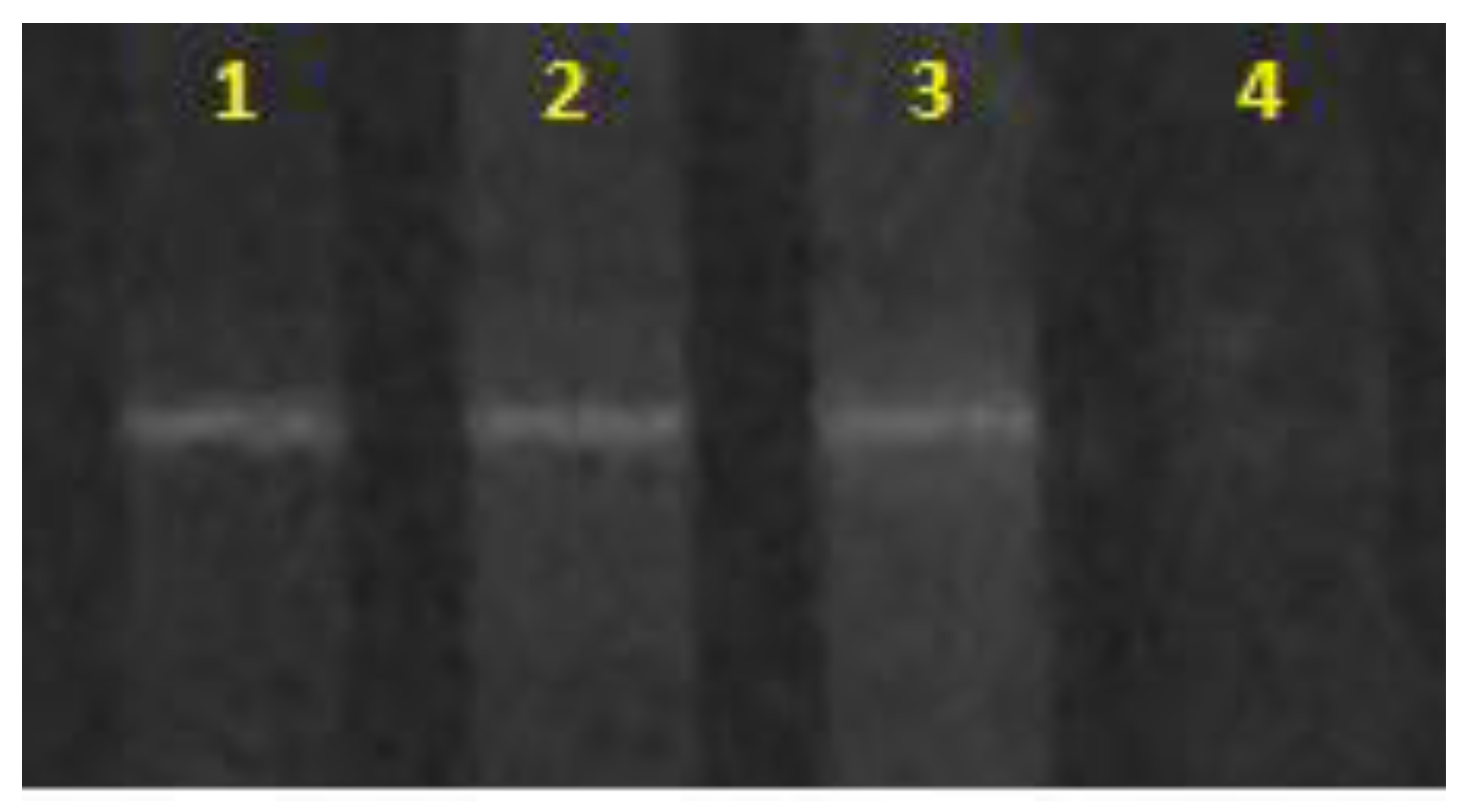 Fermentation 09 00406 g001