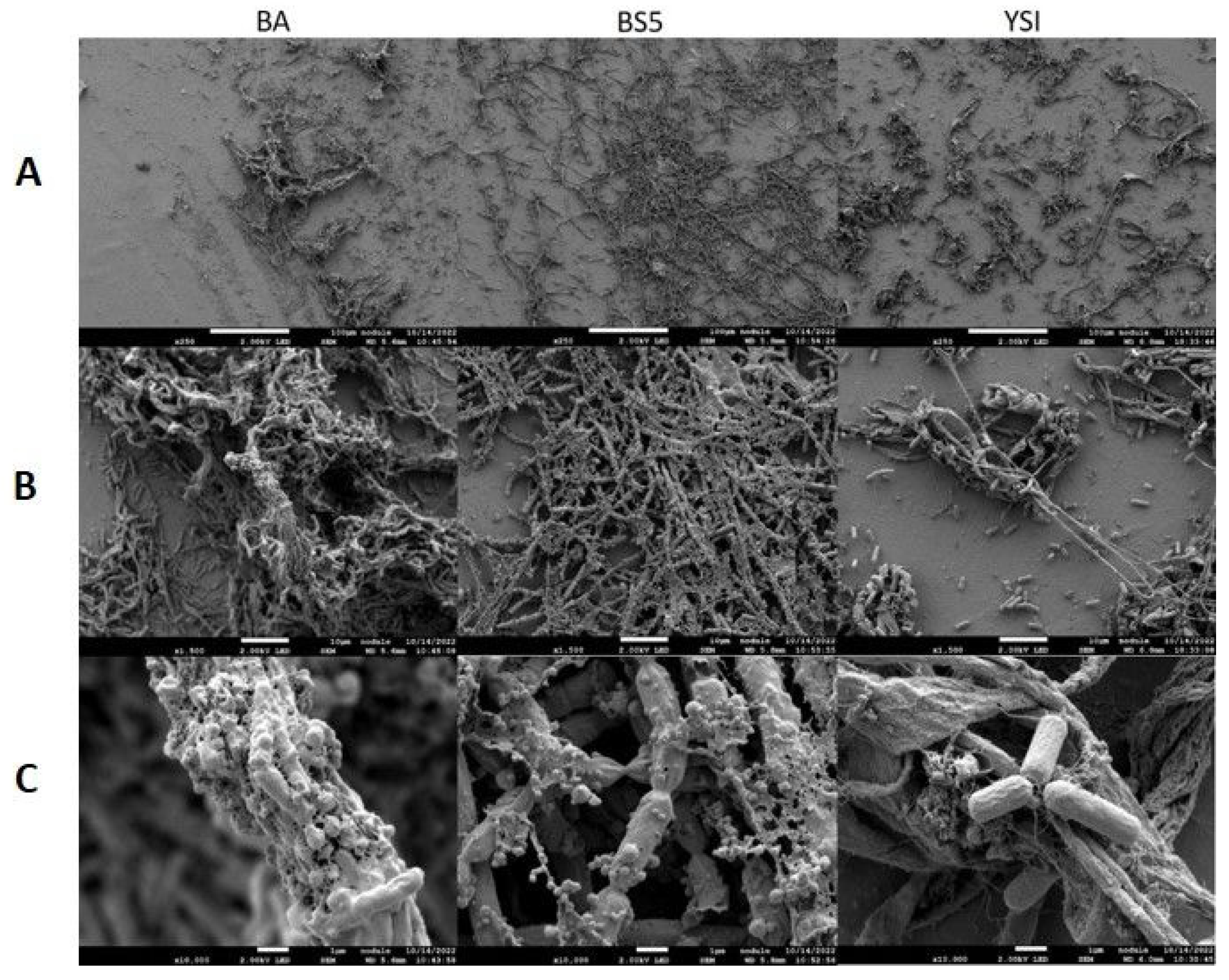 Fermentation 09 00424 g003