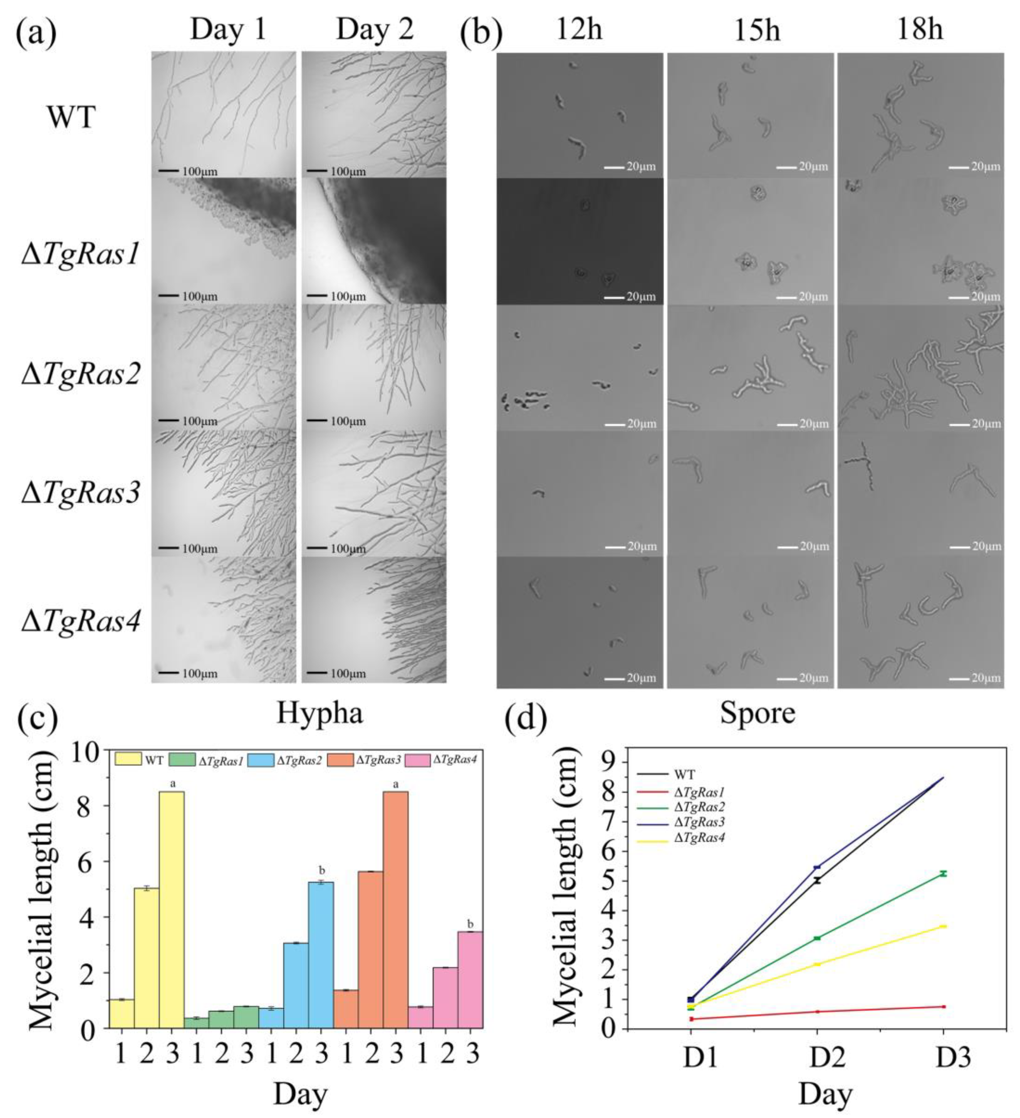 Fermentation 09 00440 g006 Fermentation 09 00440 g006