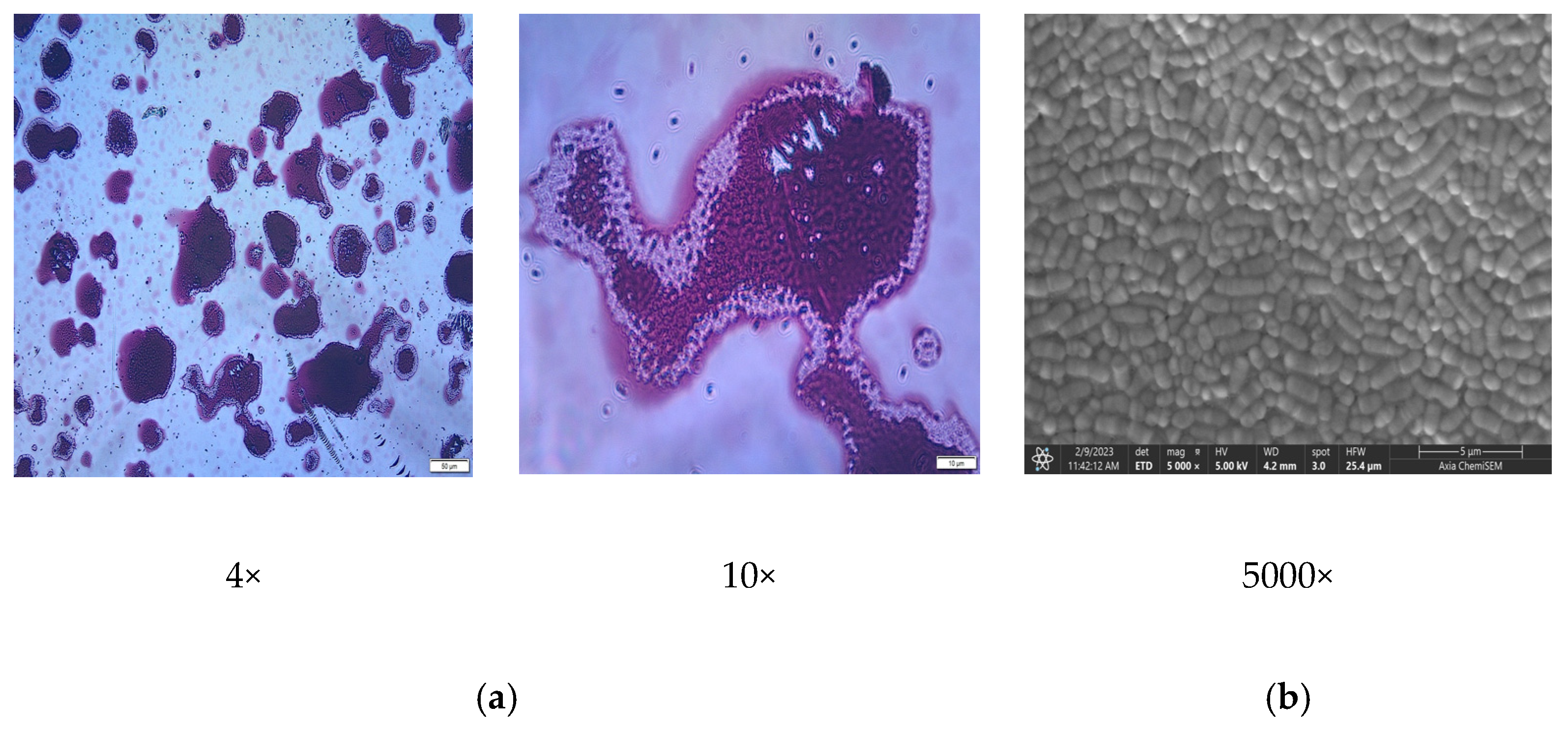 Fermentation 09 00441 g002