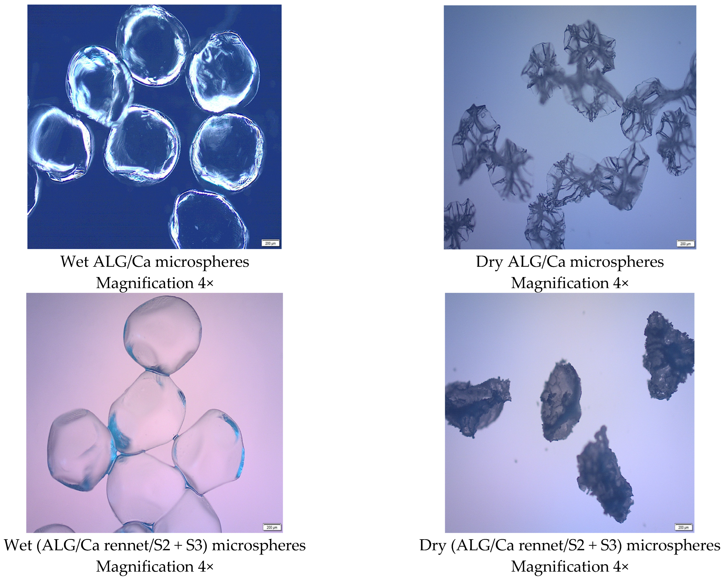 Fermentation 09 00441 g003a