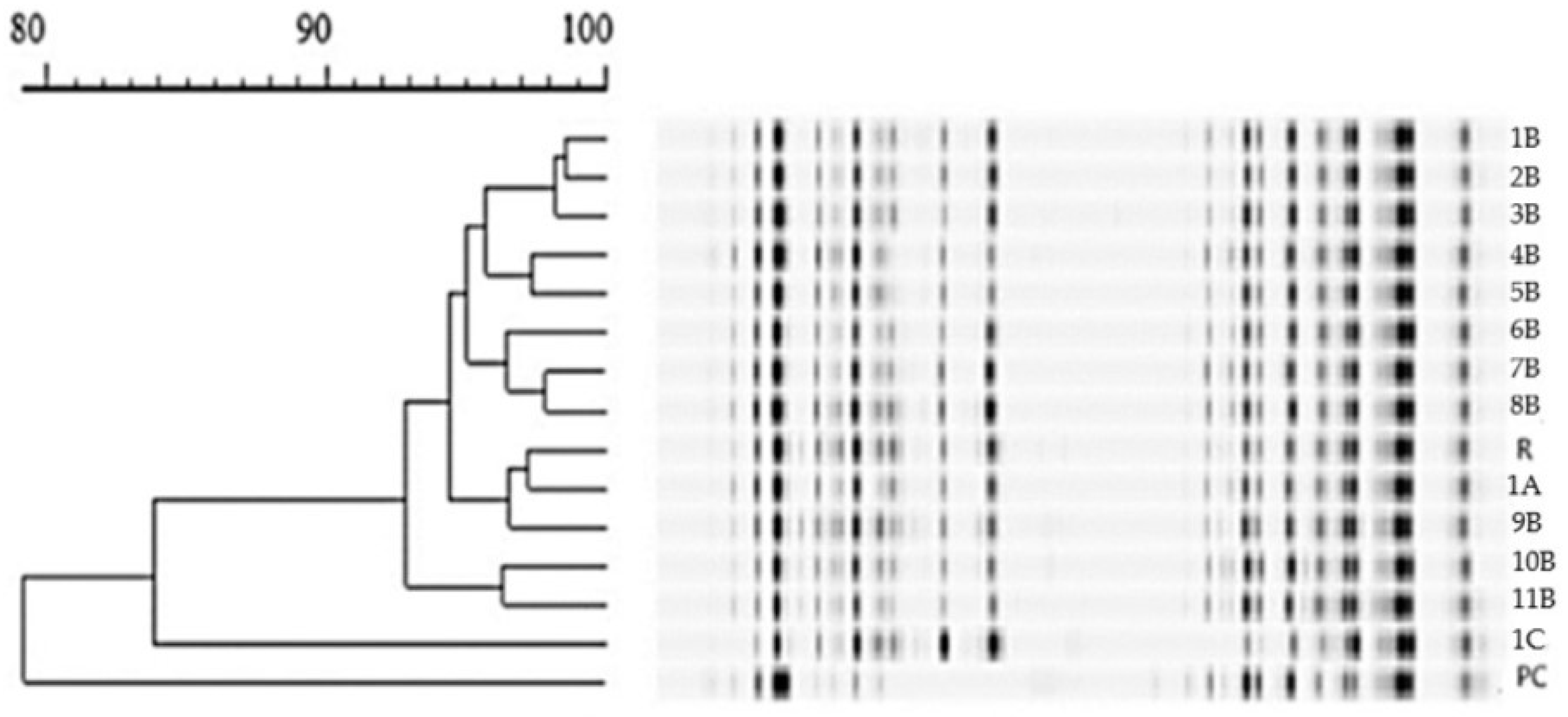 Fermentation 09 00441 g005