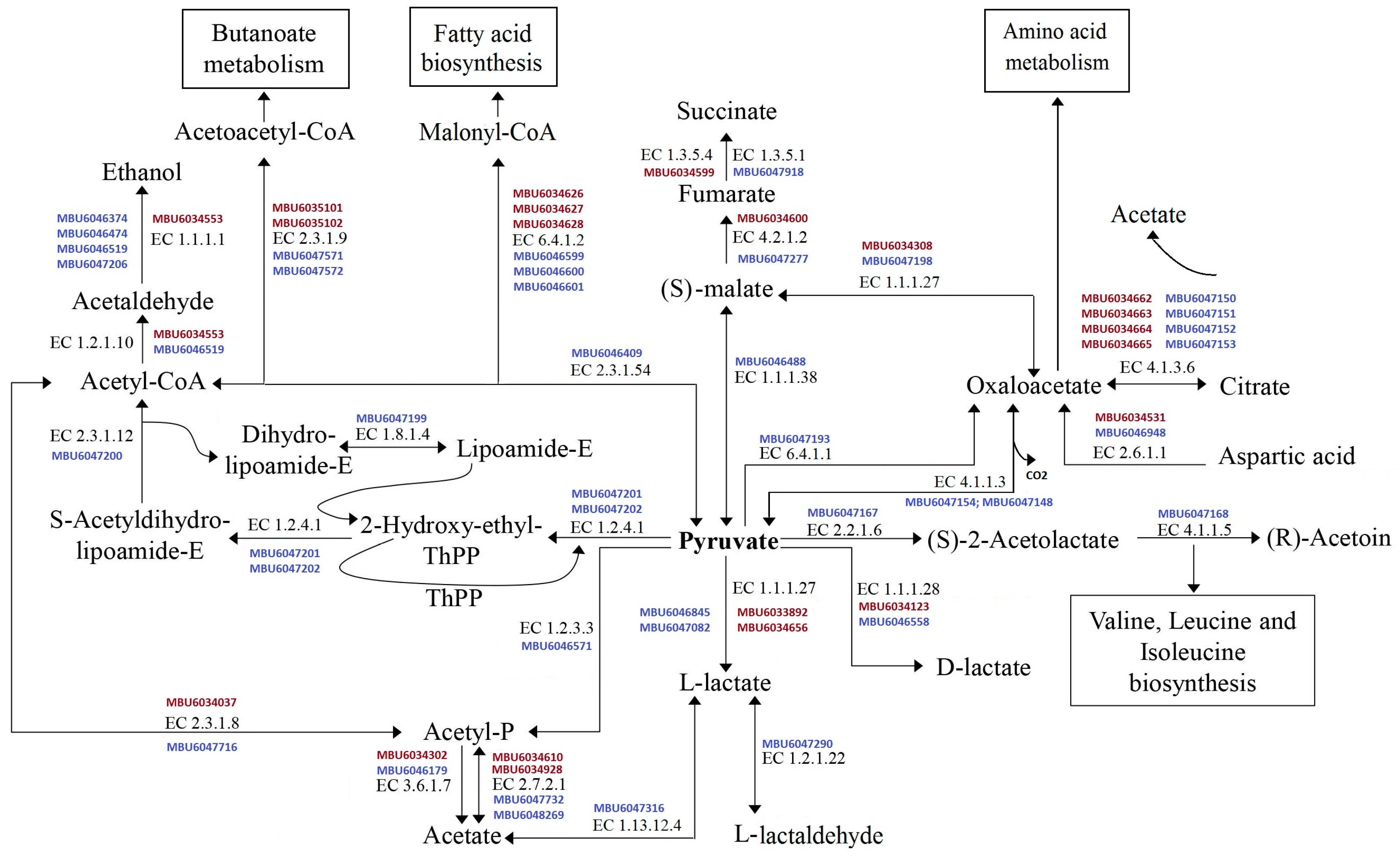 Fermentation 09 00460 g002 Fermentation 09 00460 g002