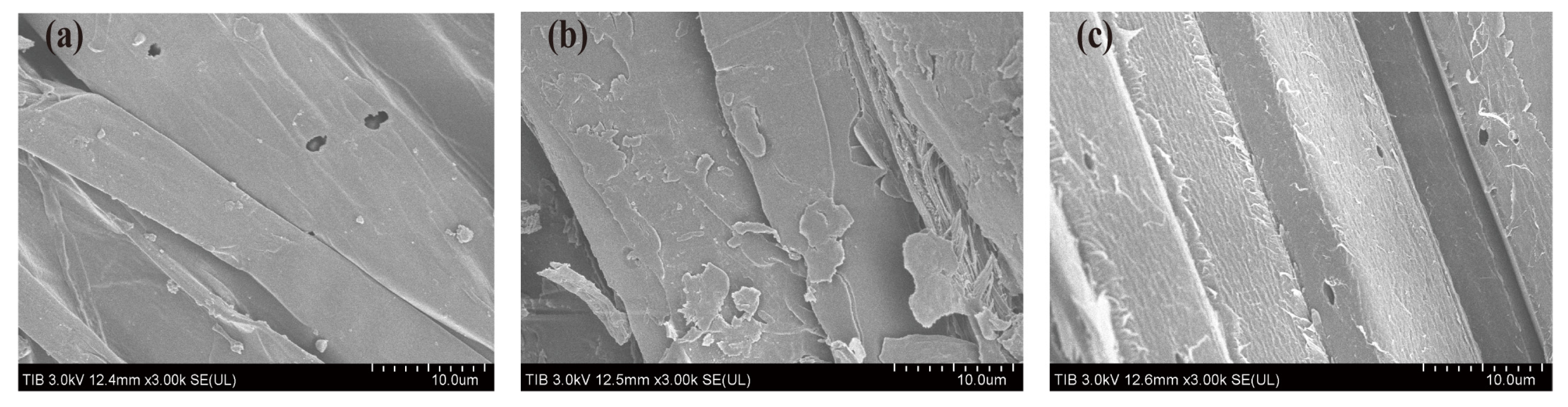 Fermentation 09 00462 g004 Fermentation 09 00462 g004