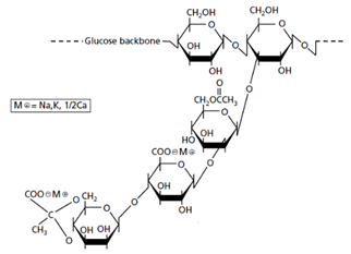 Fermentation 09 00463 i001