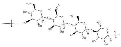 Fermentation 09 00463 i002