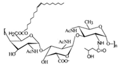 Fermentation 09 00463 i004