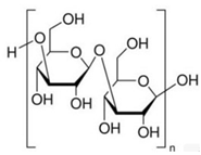 Fermentation 09 00463 i006