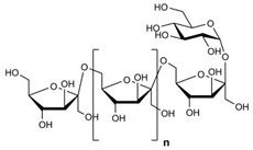 Fermentation 09 00463 i007