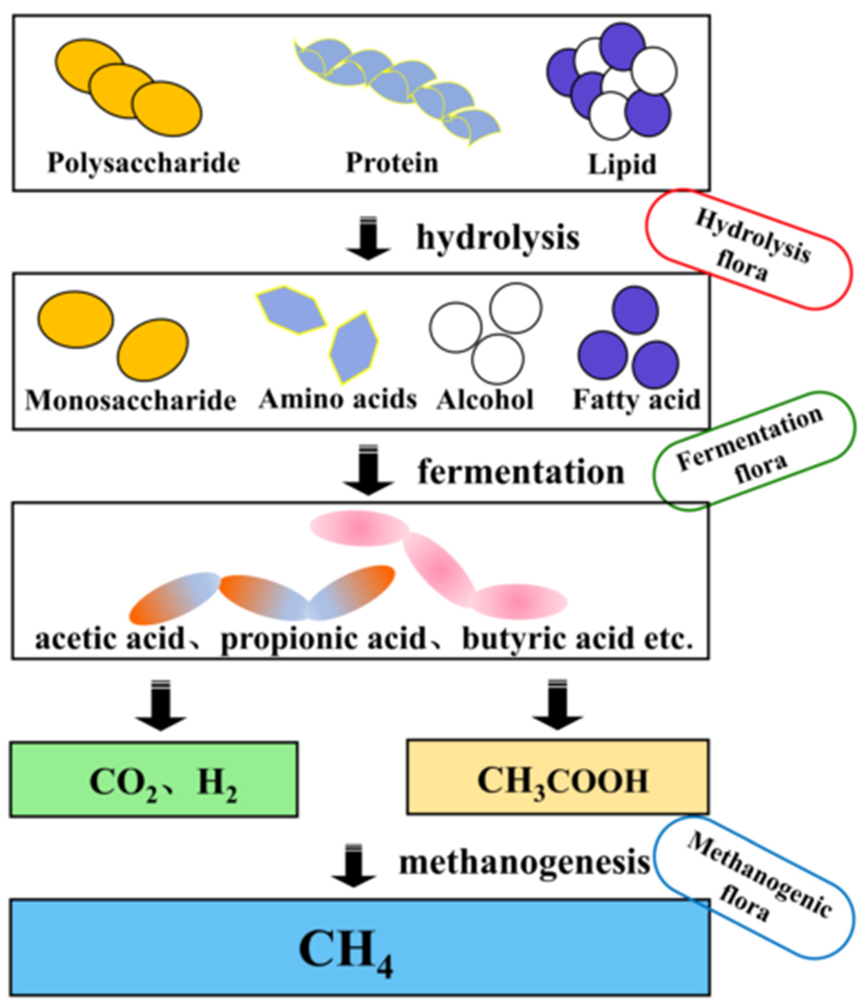 Fermentation 09 00467 g001 Fermentation 09 00467 g001