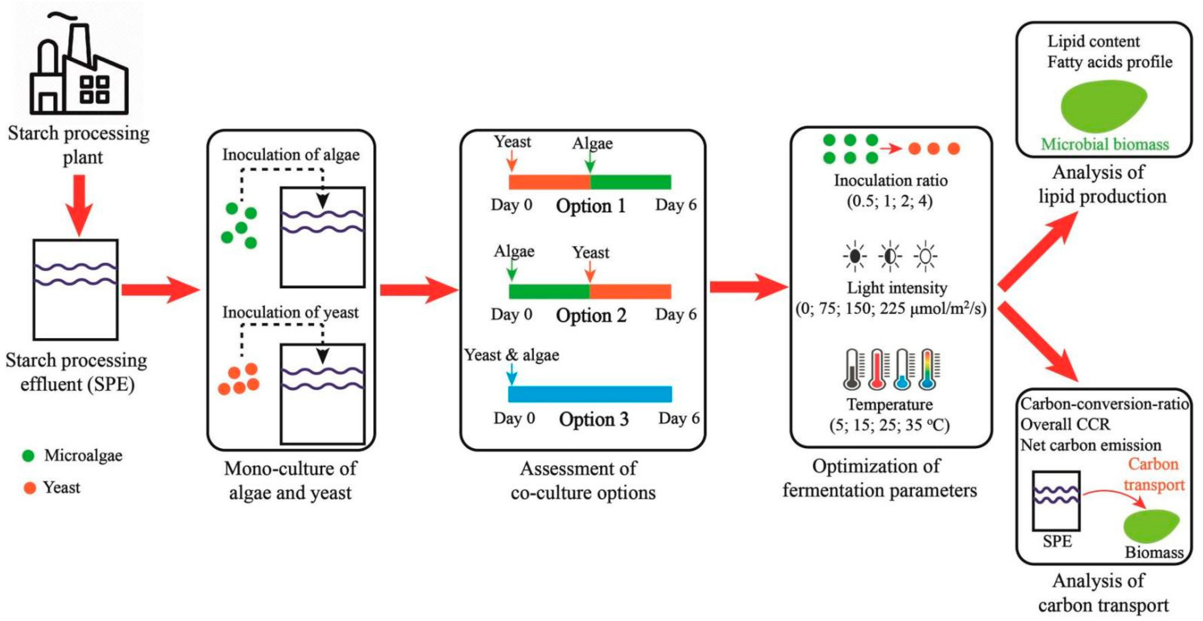 Fermentation 09 00476 g001