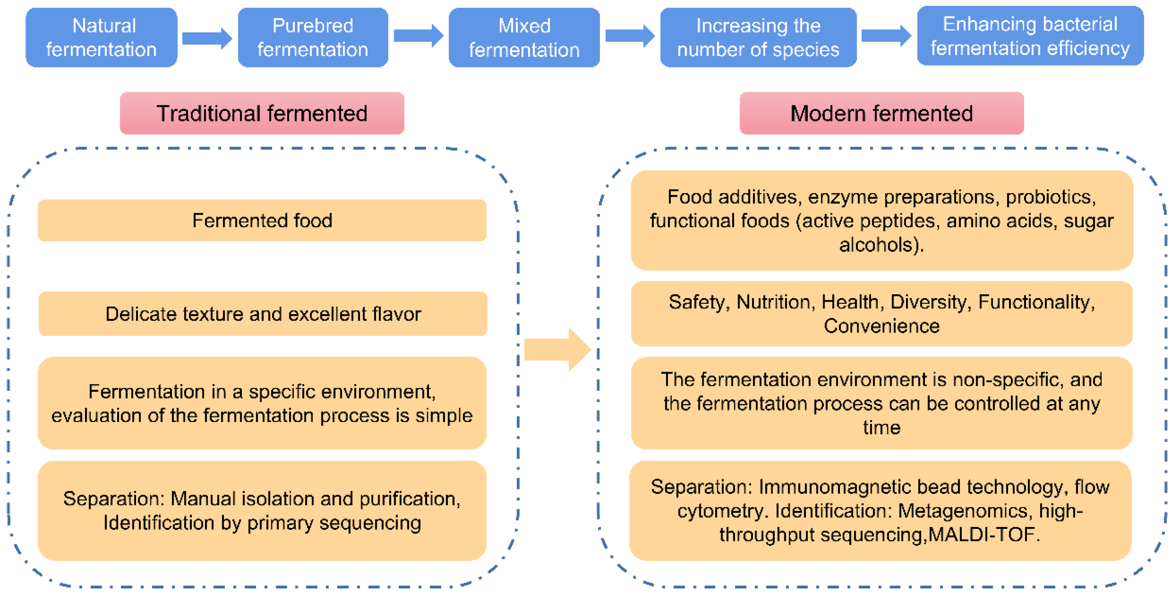 Fermentation 09 00477 g001 Fermentation 09 00477 g001