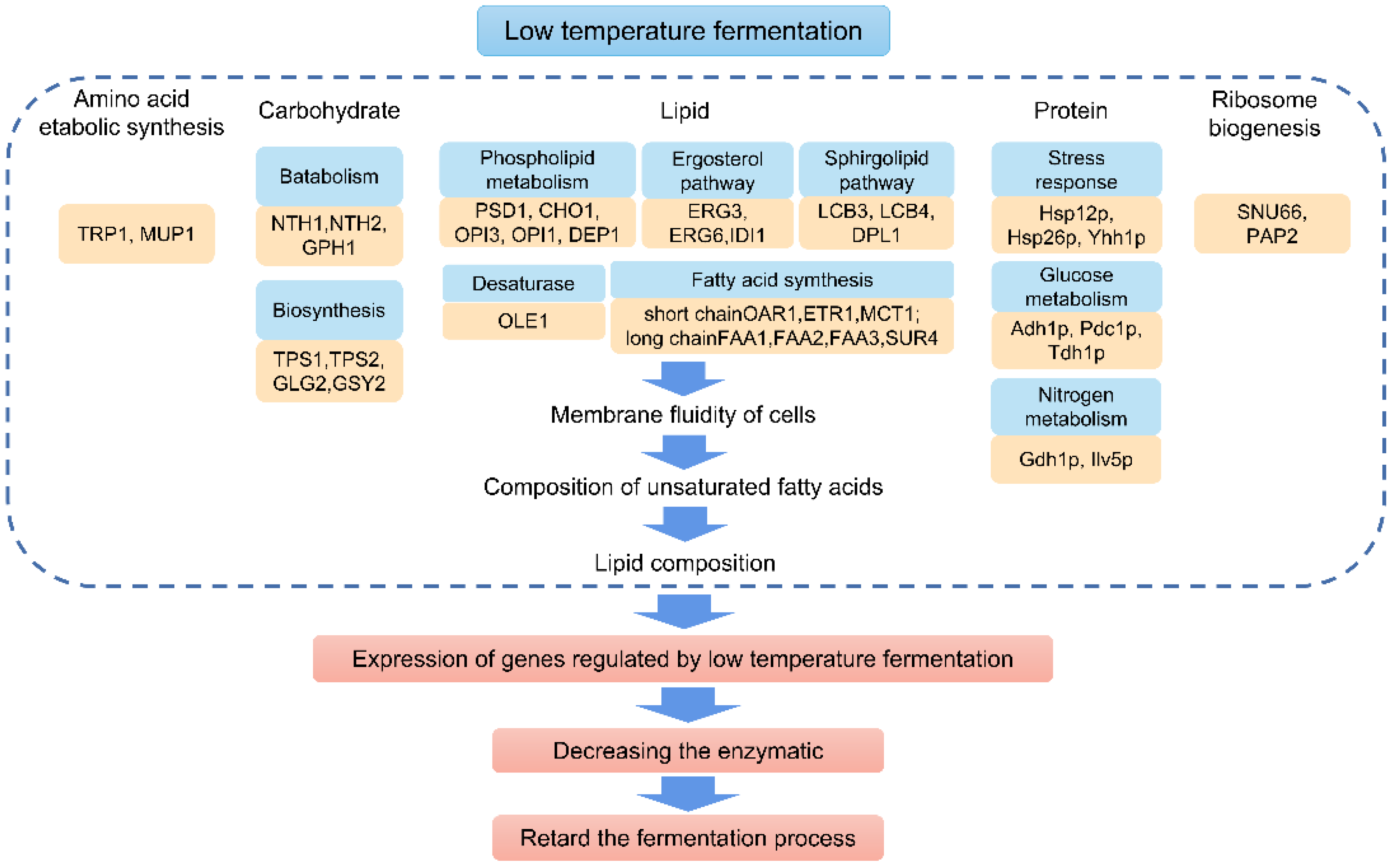 Fermentation 09 00477 g002 Fermentation 09 00477 g002