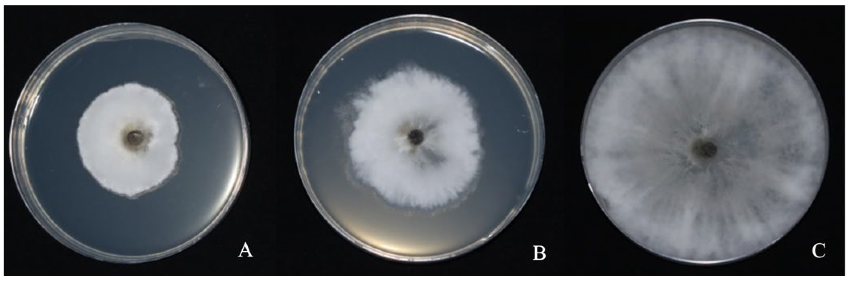 Fermentation 09 00482 g009