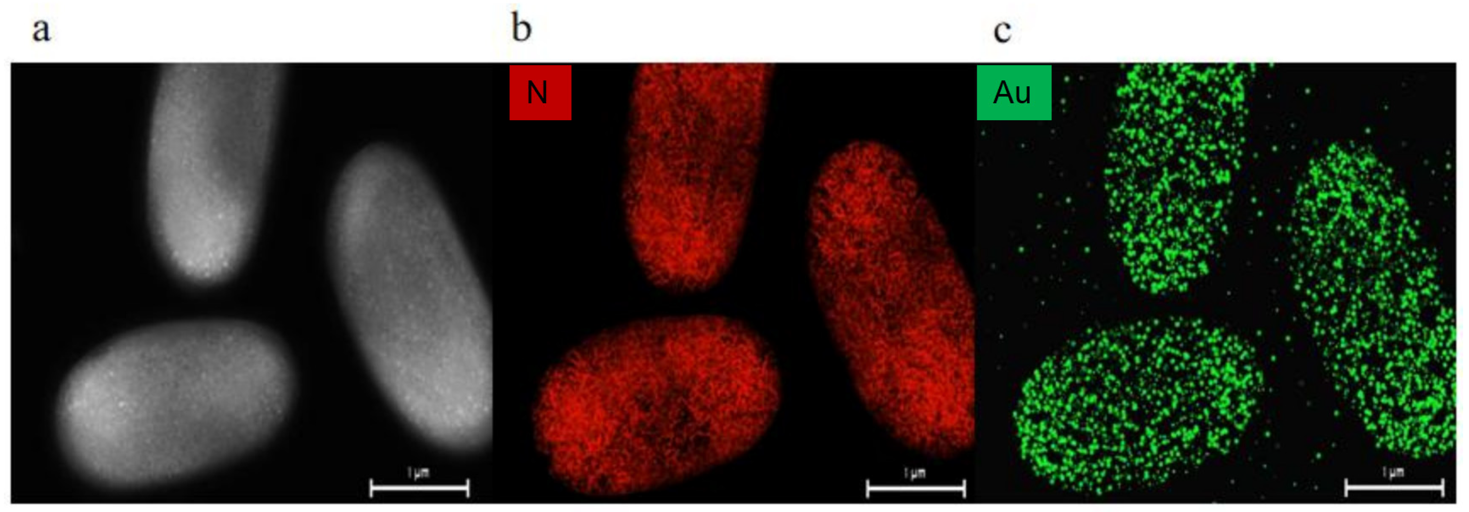 Fermentation 09 00488 g009 Fermentation 09 00488 g009