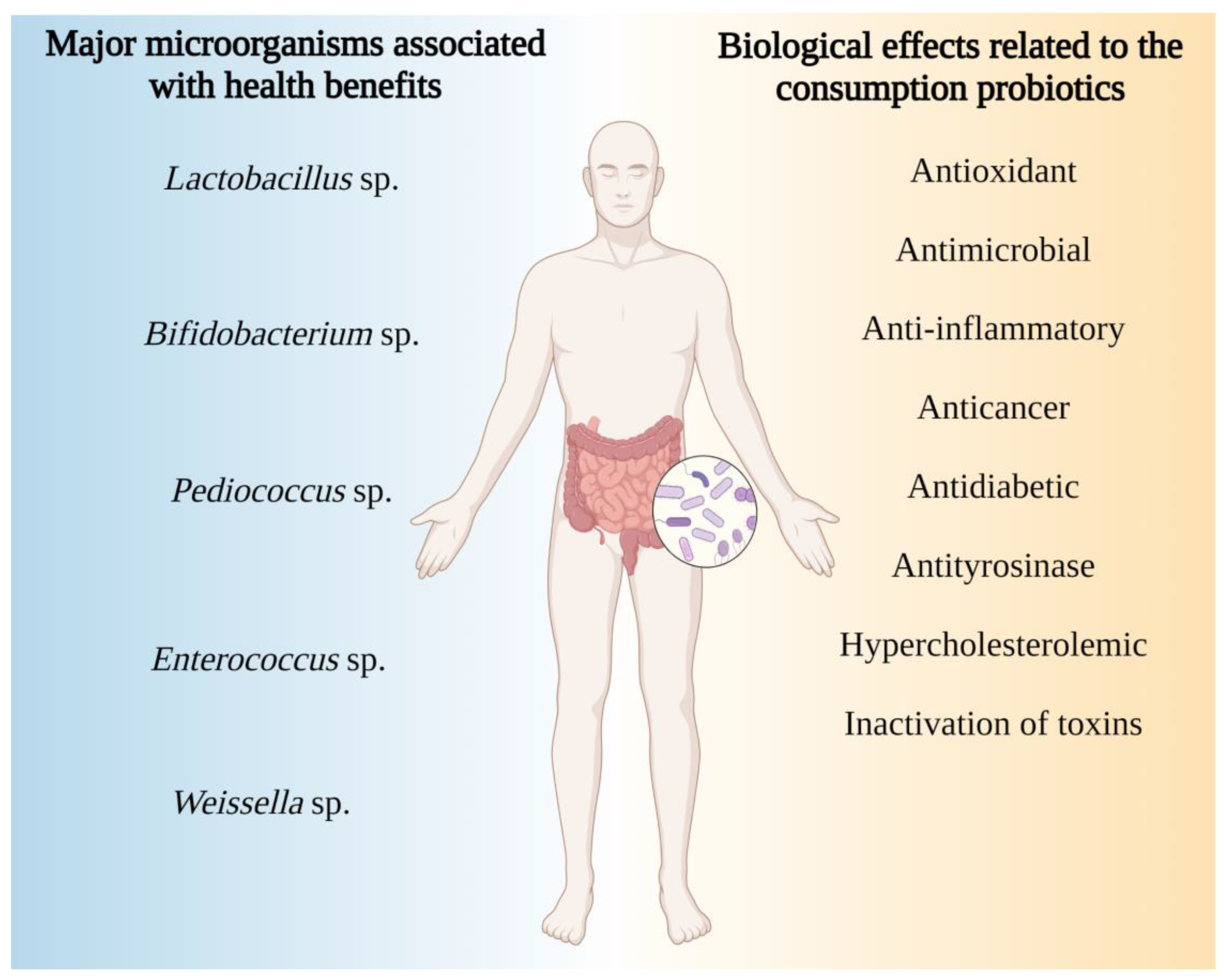 Fermentation 09 00496 g001