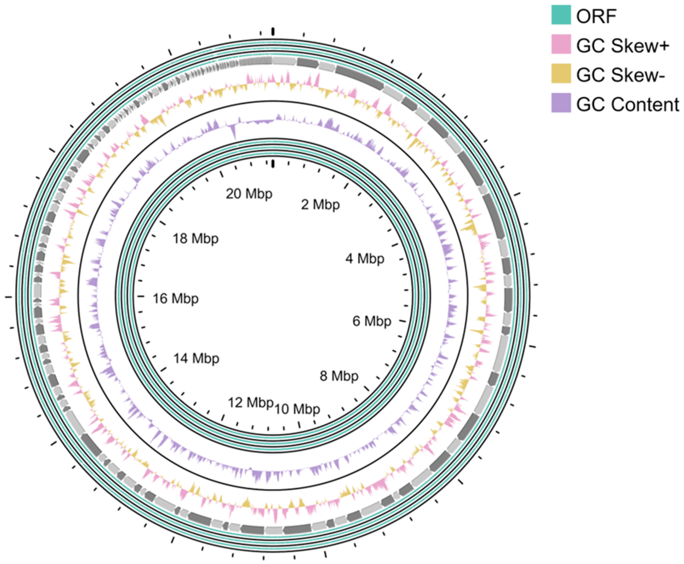 Fermentation 09 00501 g001