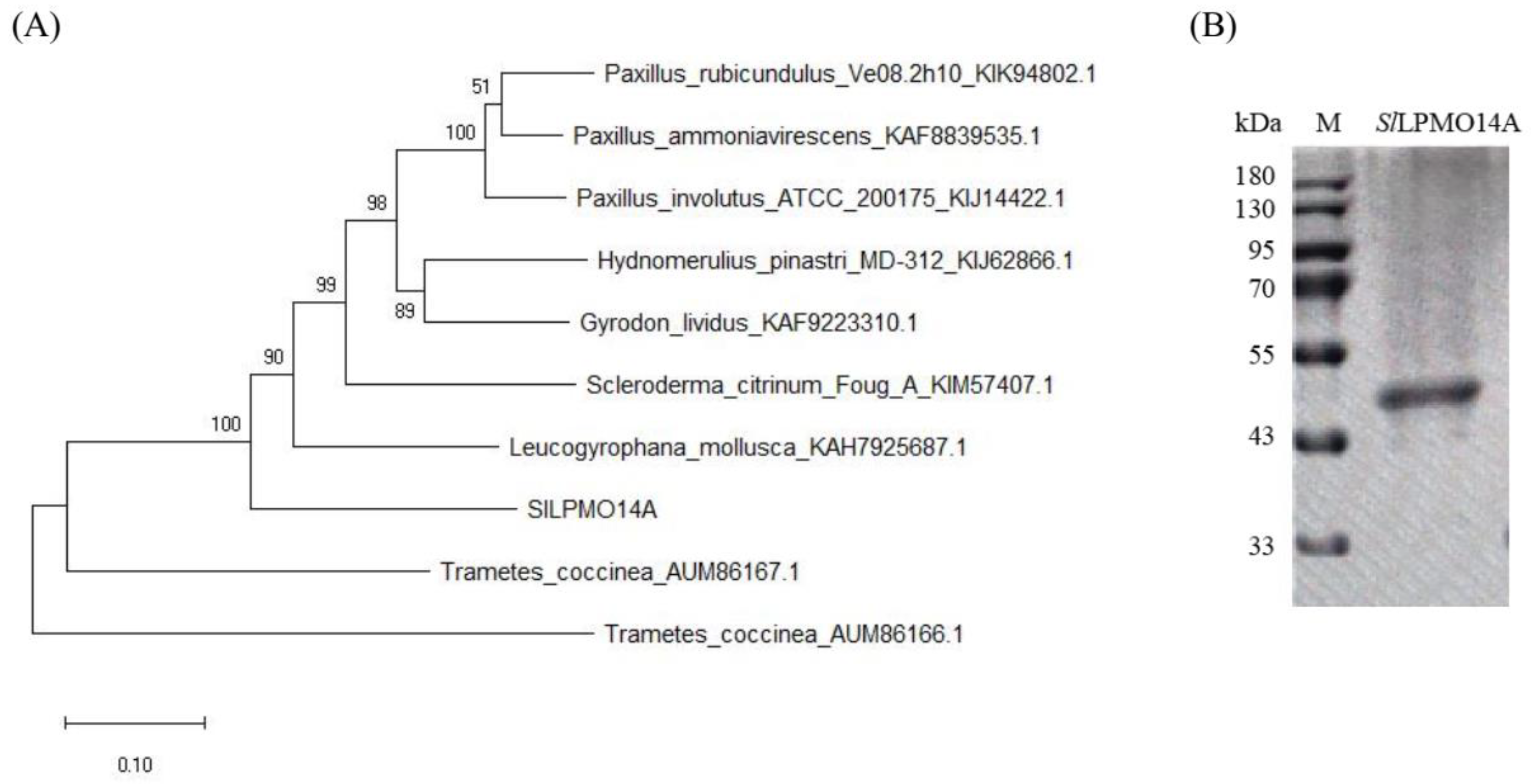 Fermentation 09 00506 g002