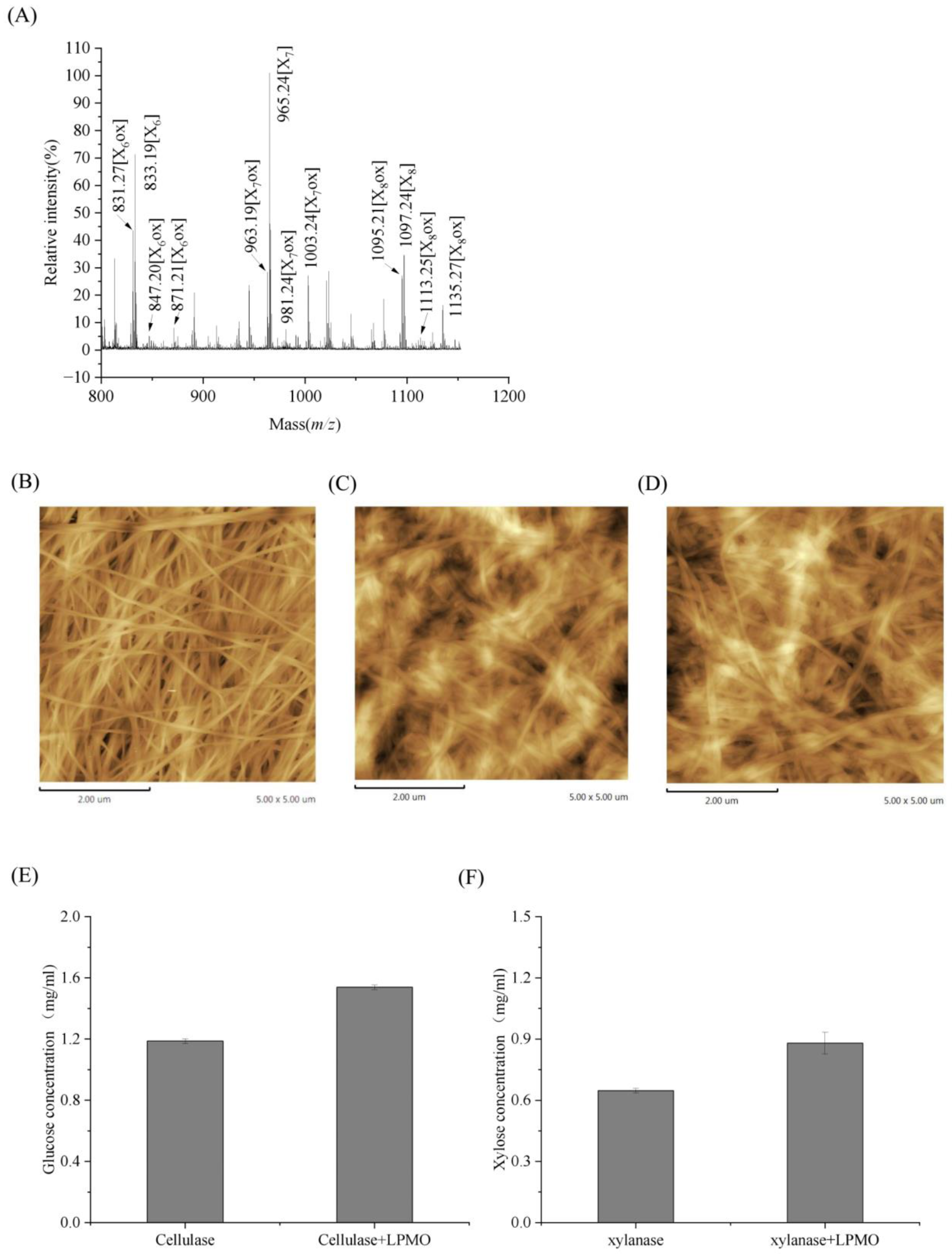 Fermentation 09 00506 g005
