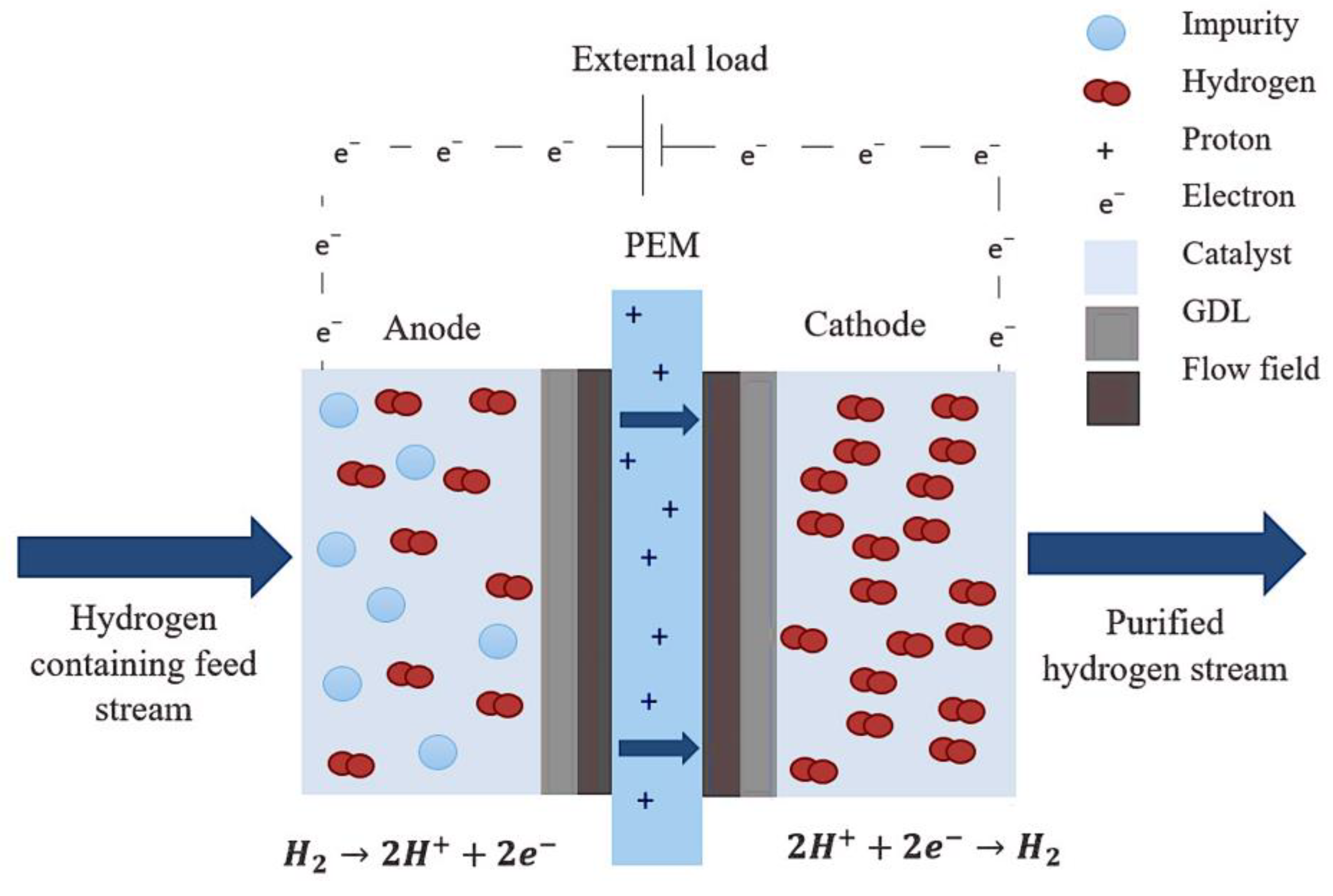 Fermentation 09 00537 g002 Fermentation 09 00537 g002