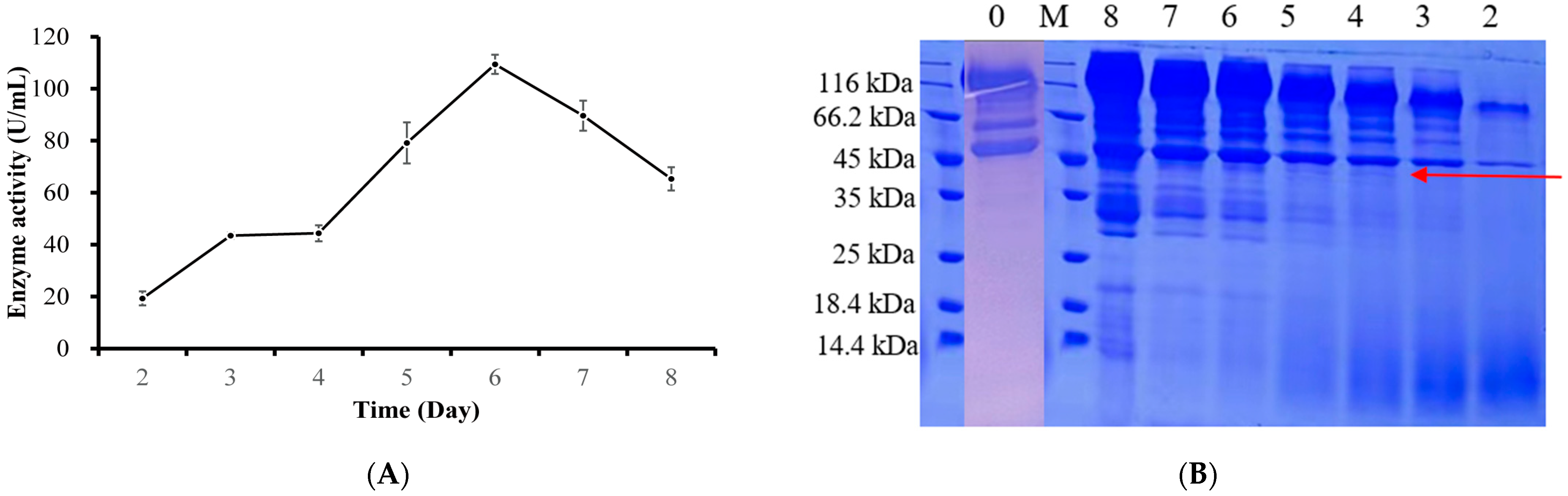 Fermentation 09 00538 g002