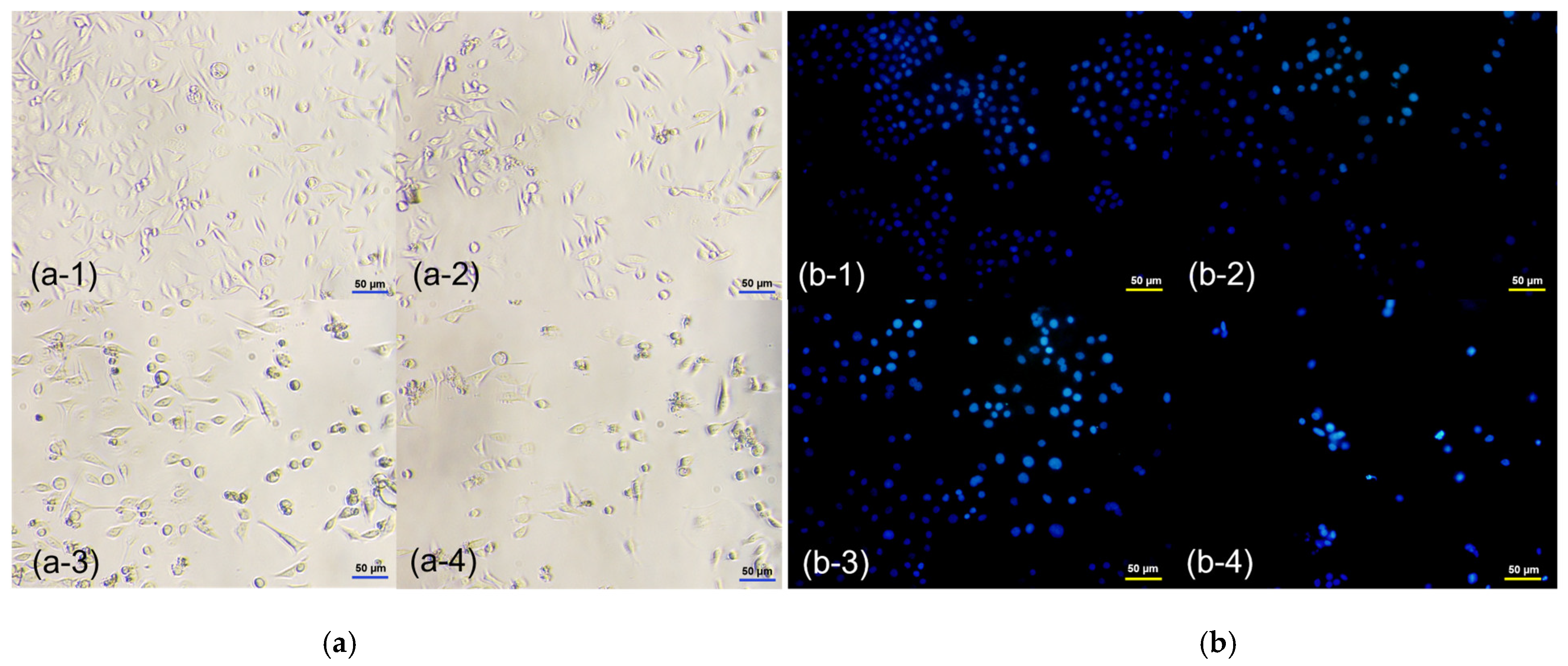 Fermentation 09 00539 g002