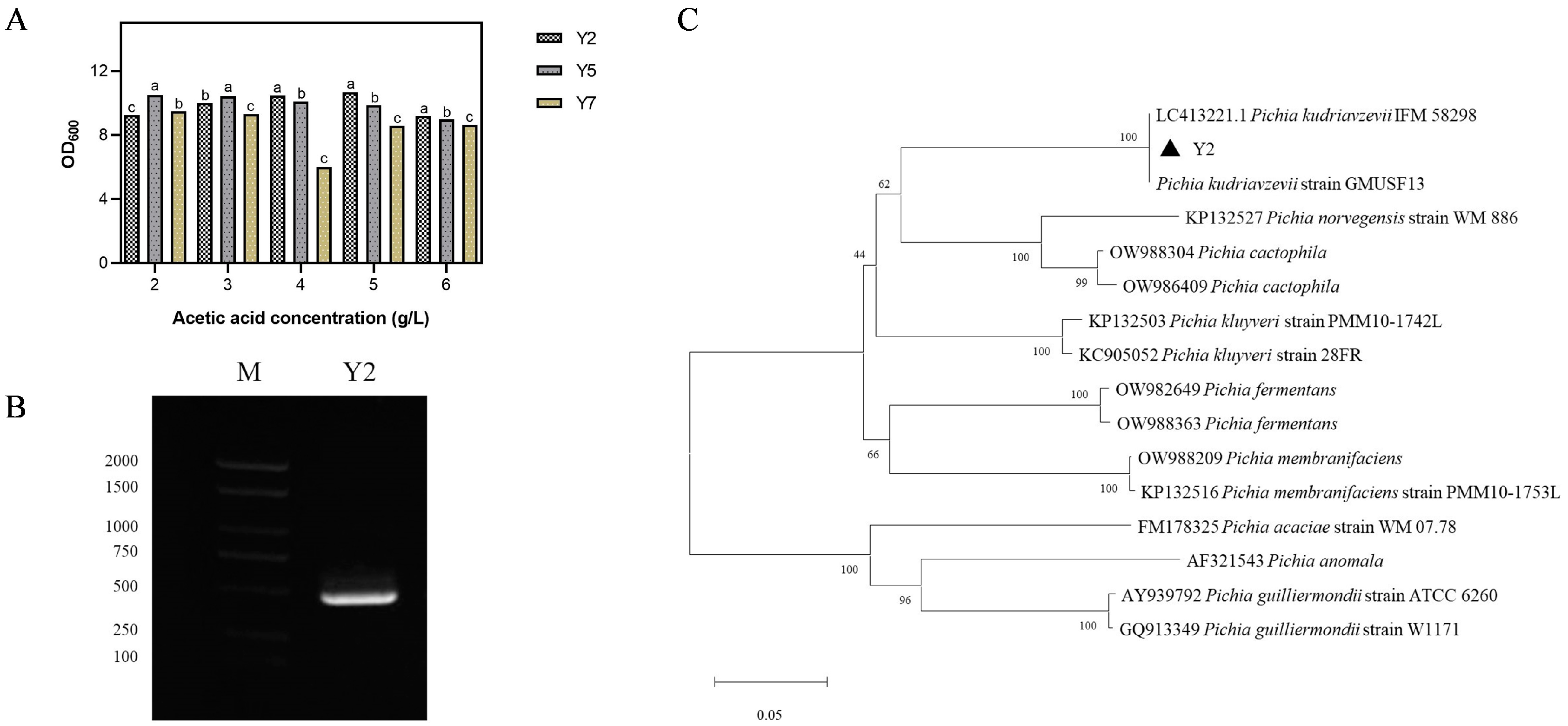 Fermentation 09 00540 g002 Fermentation 09 00540 g002