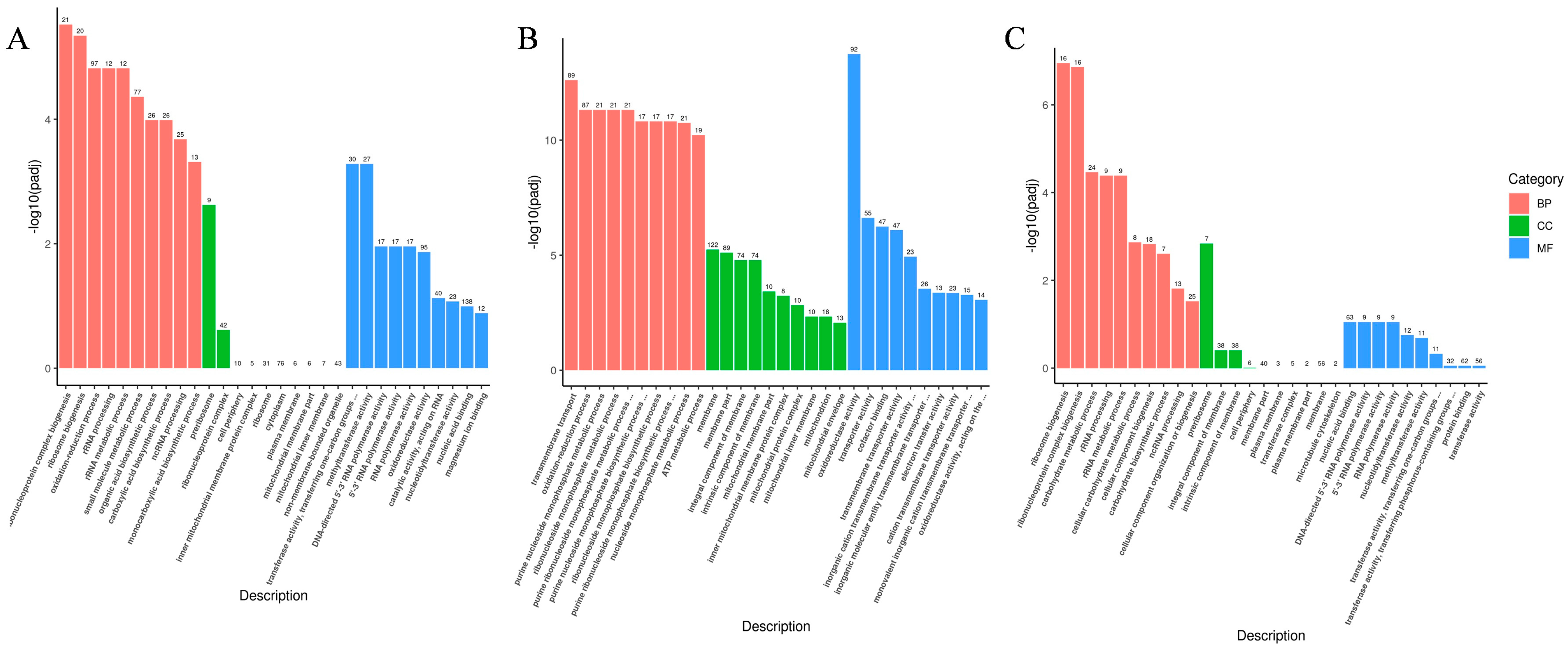 Fermentation 09 00540 g005 Fermentation 09 00540 g005