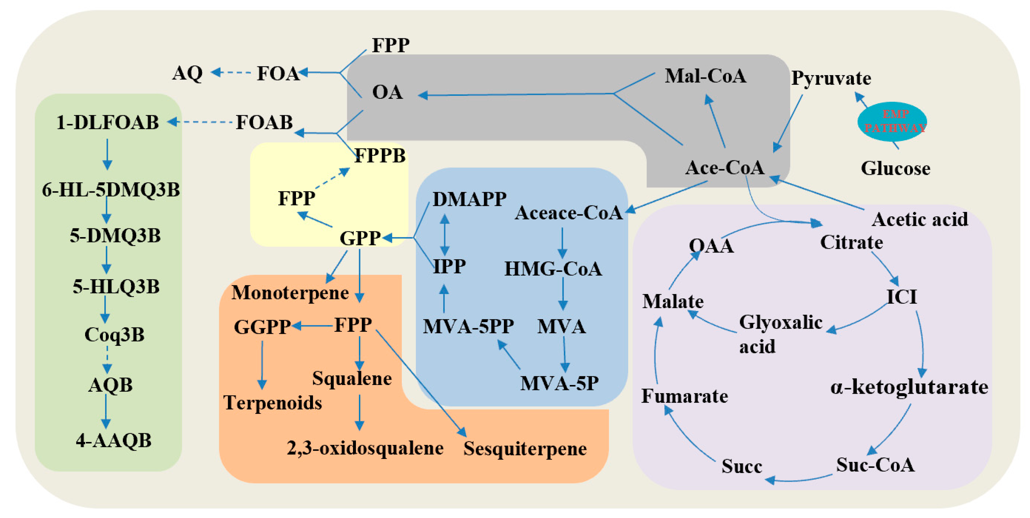 Fermentation 09 00542 g001