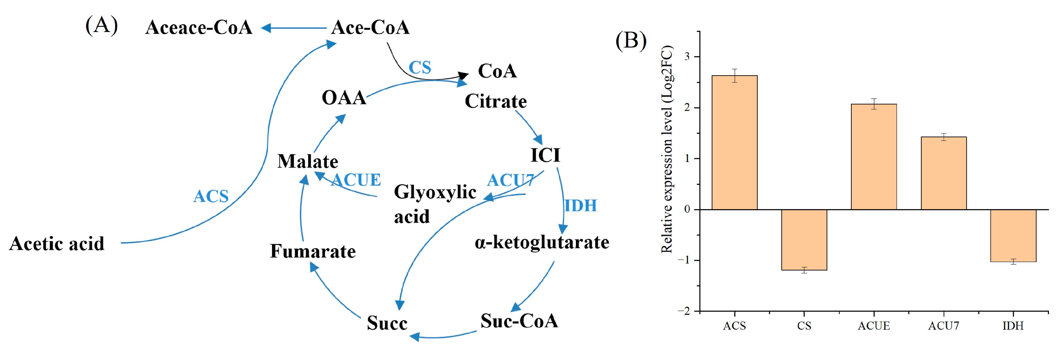 Fermentation 09 00542 g005