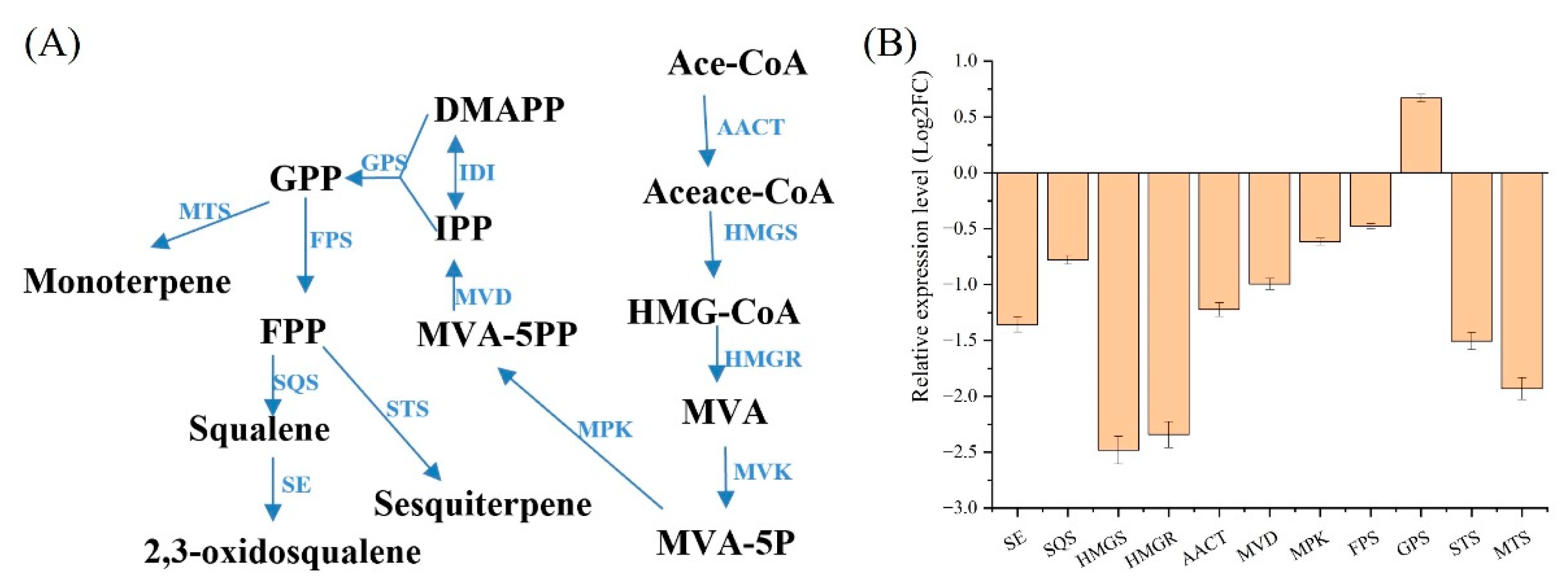 Fermentation 09 00542 g006