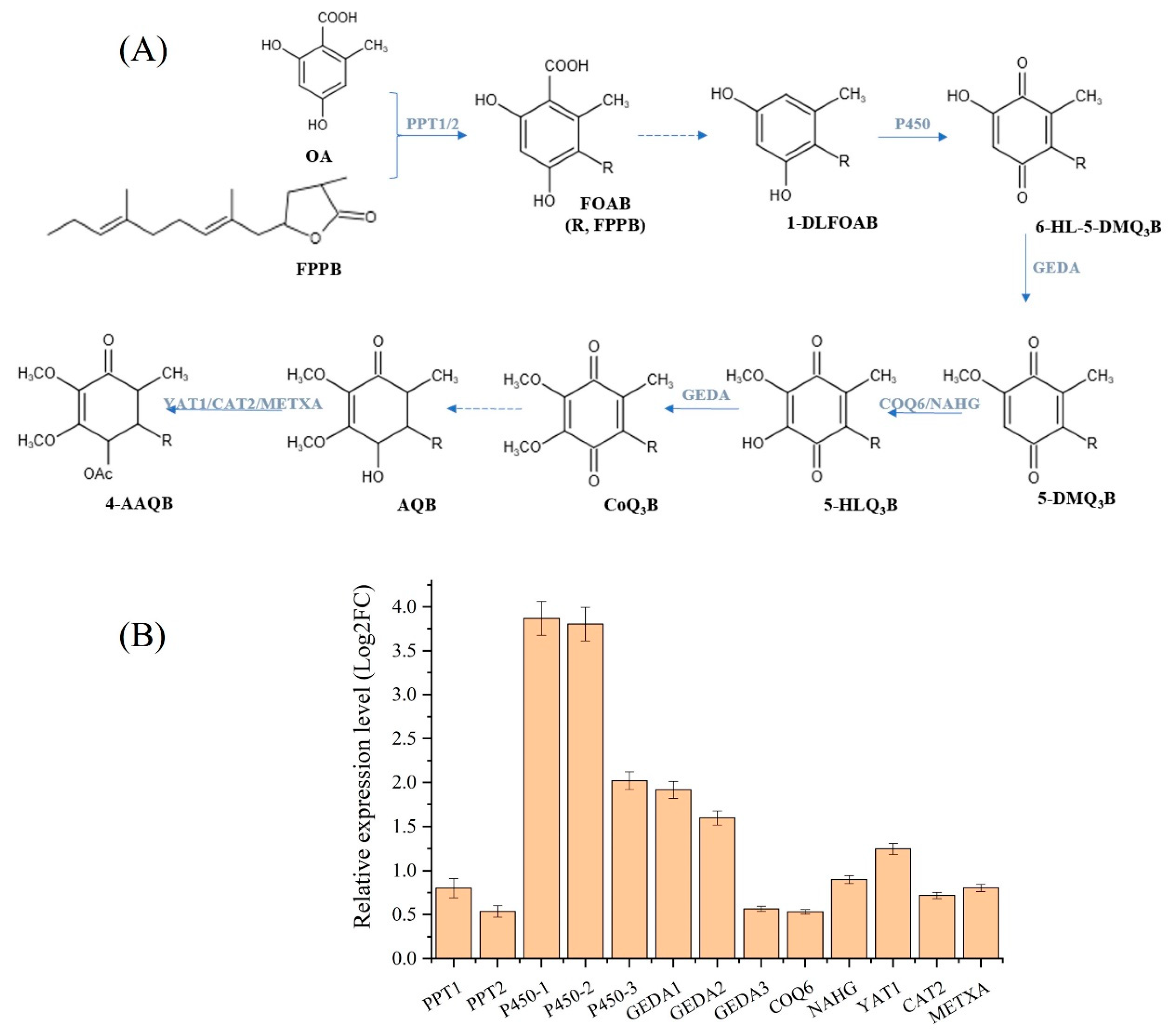 Fermentation 09 00542 g007