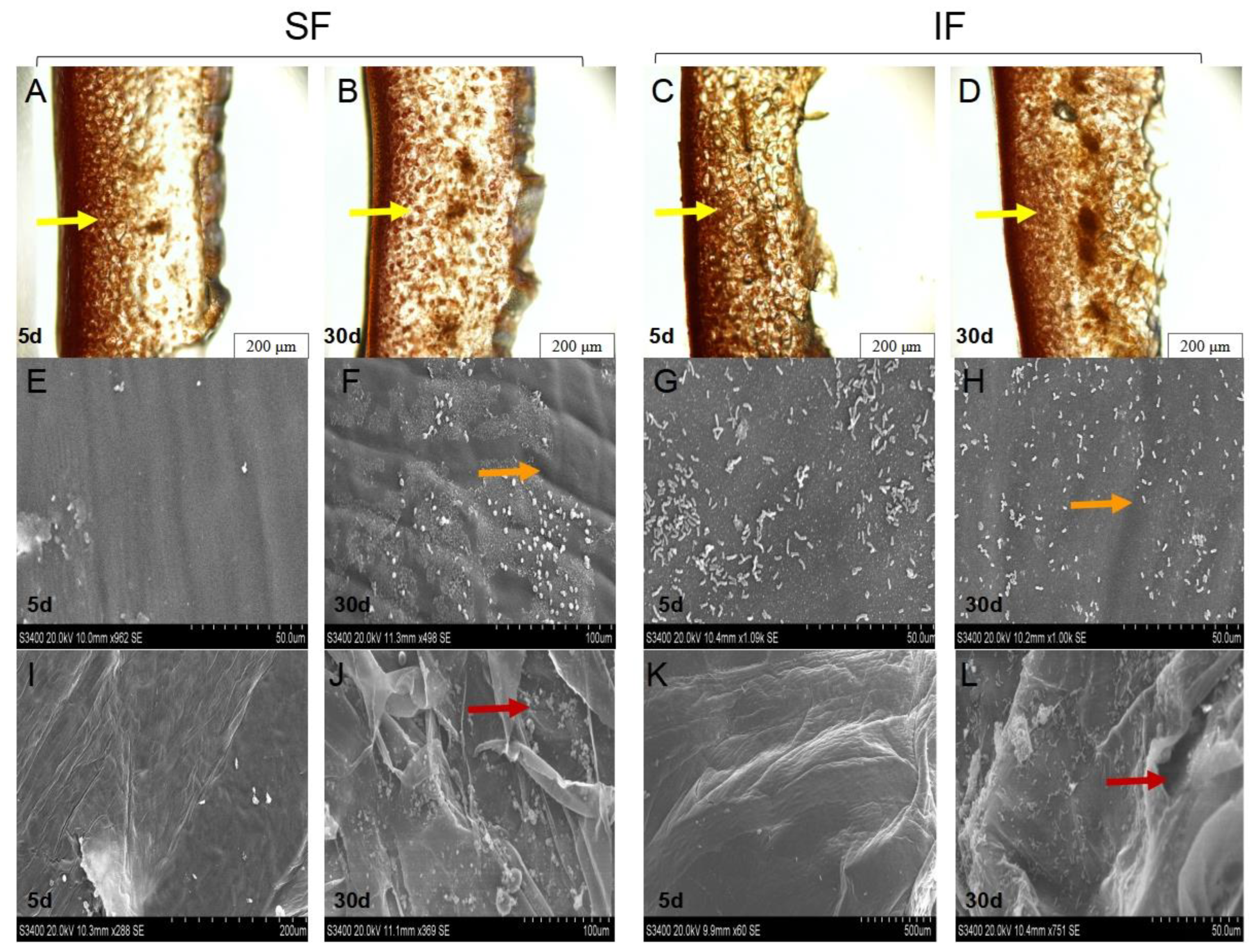Fermentation 09 00547 g006