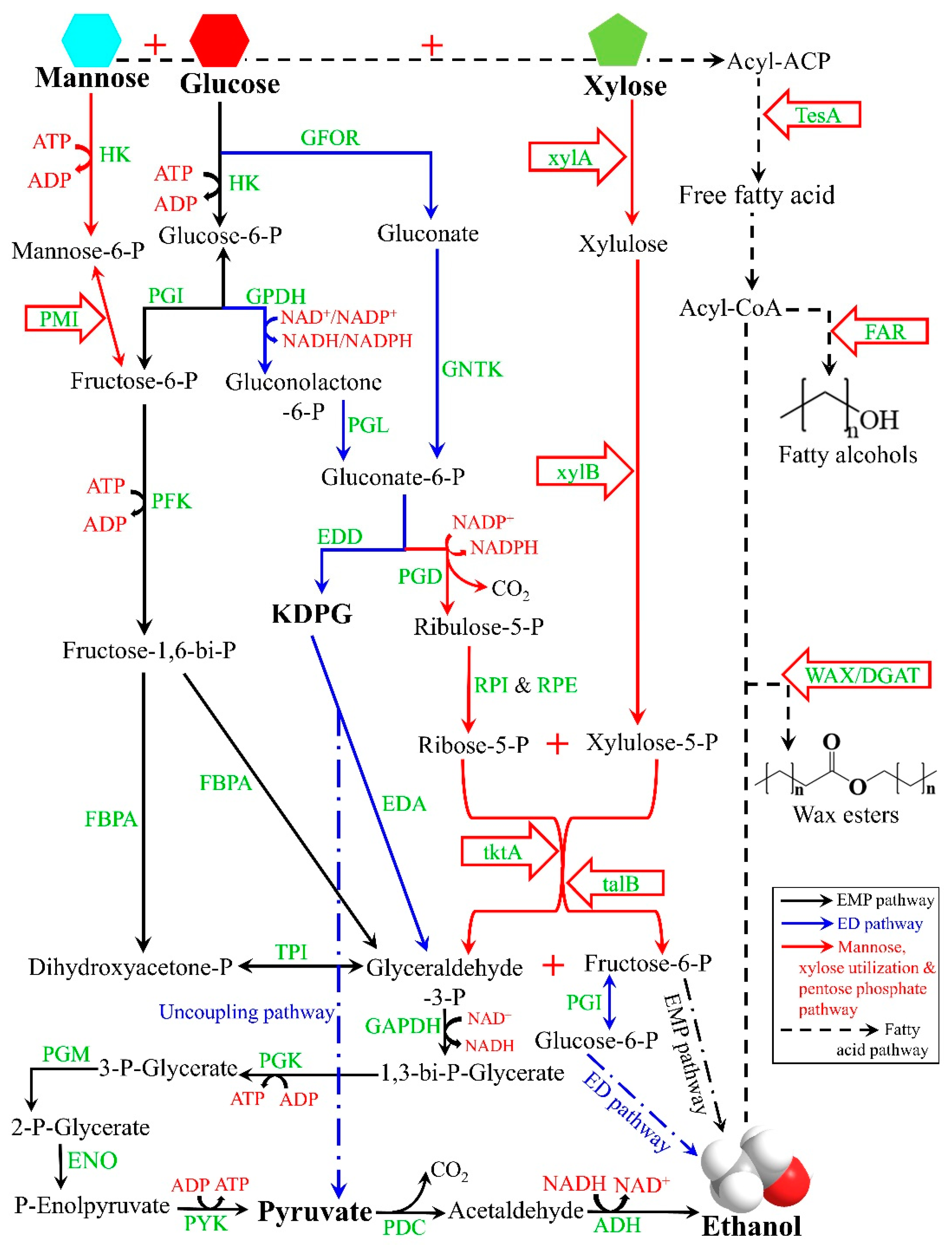 Fermentation 09 00569 g001