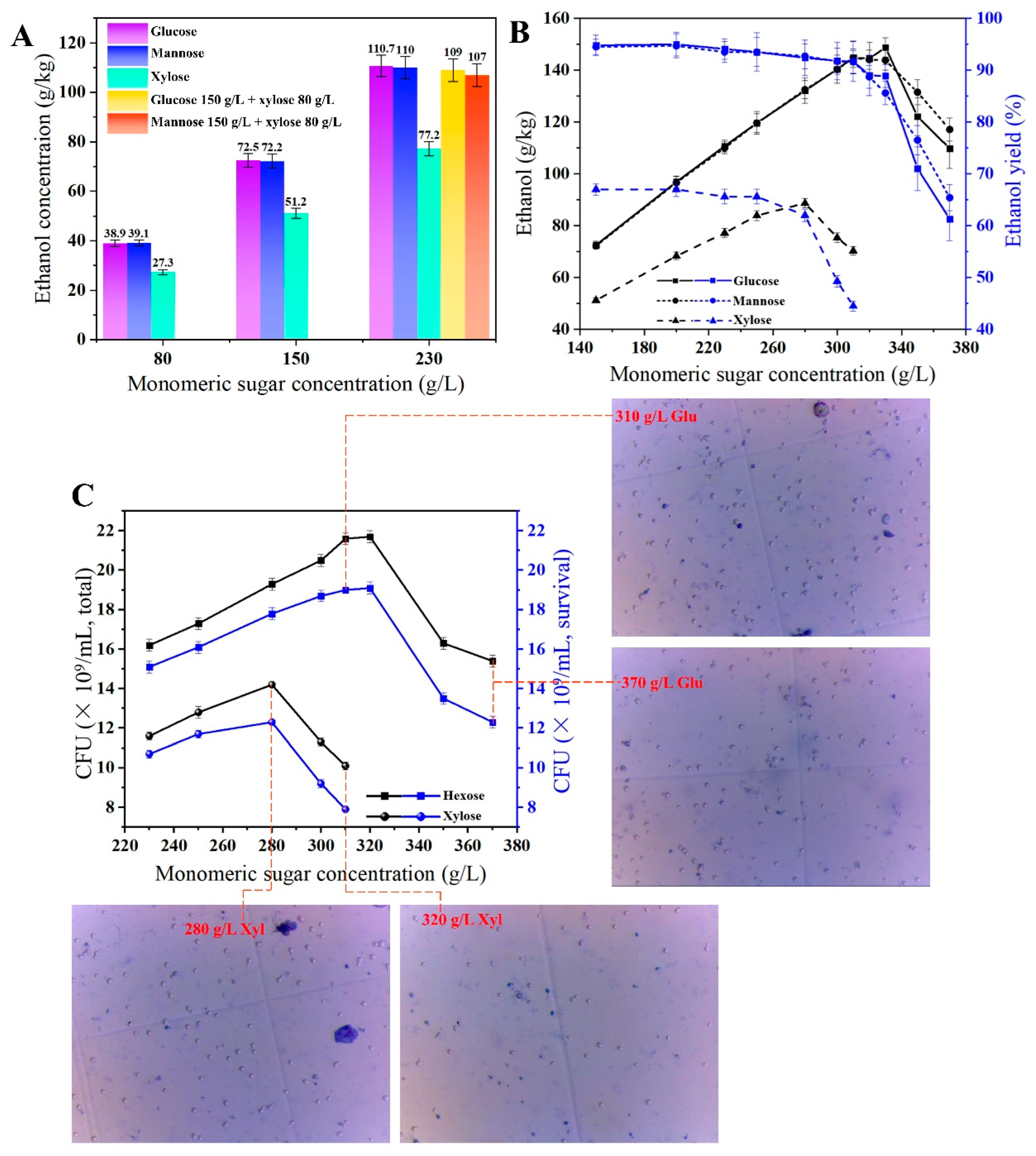 Fermentation 09 00569 g003