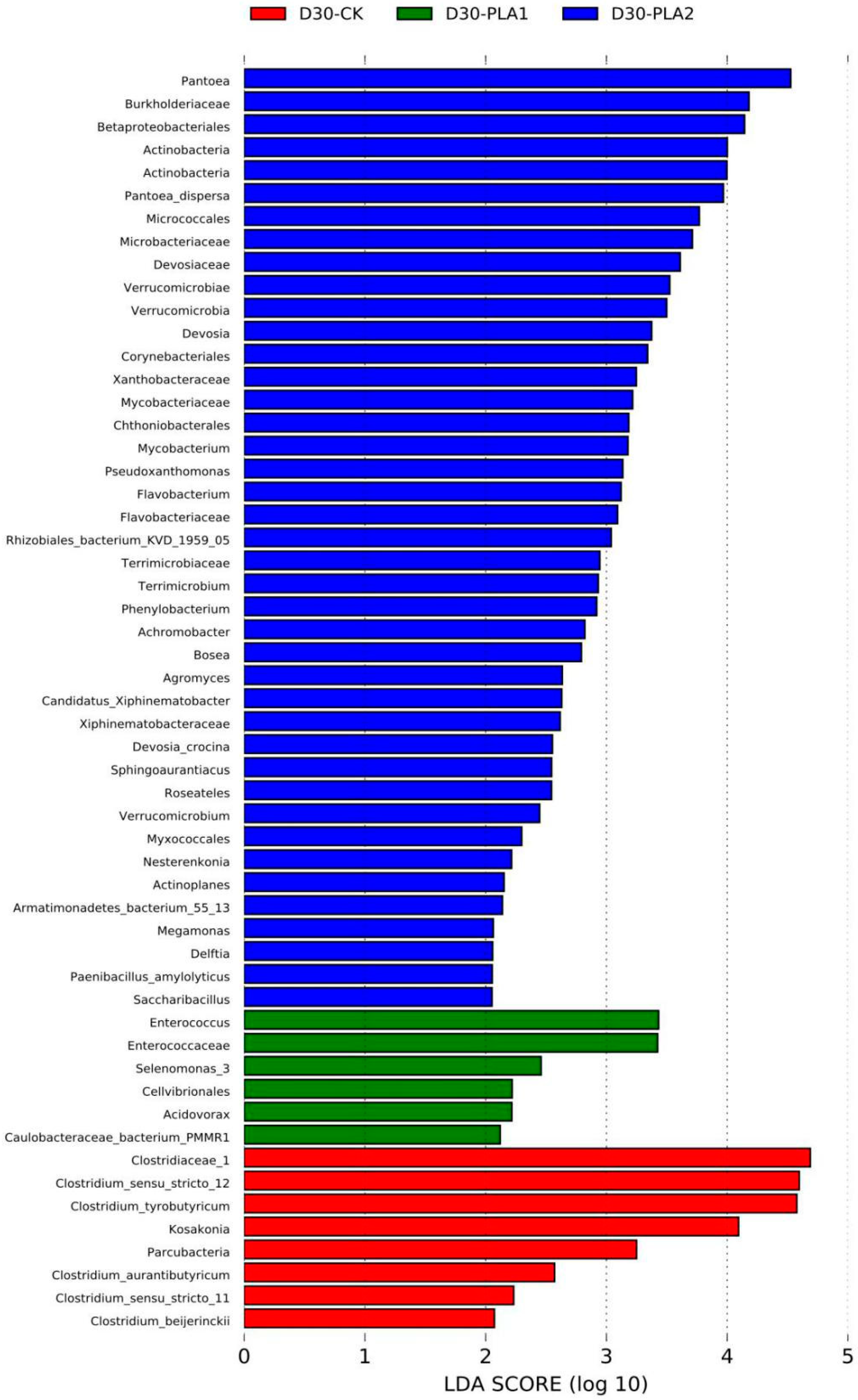 Fermentation 09 00572 g004