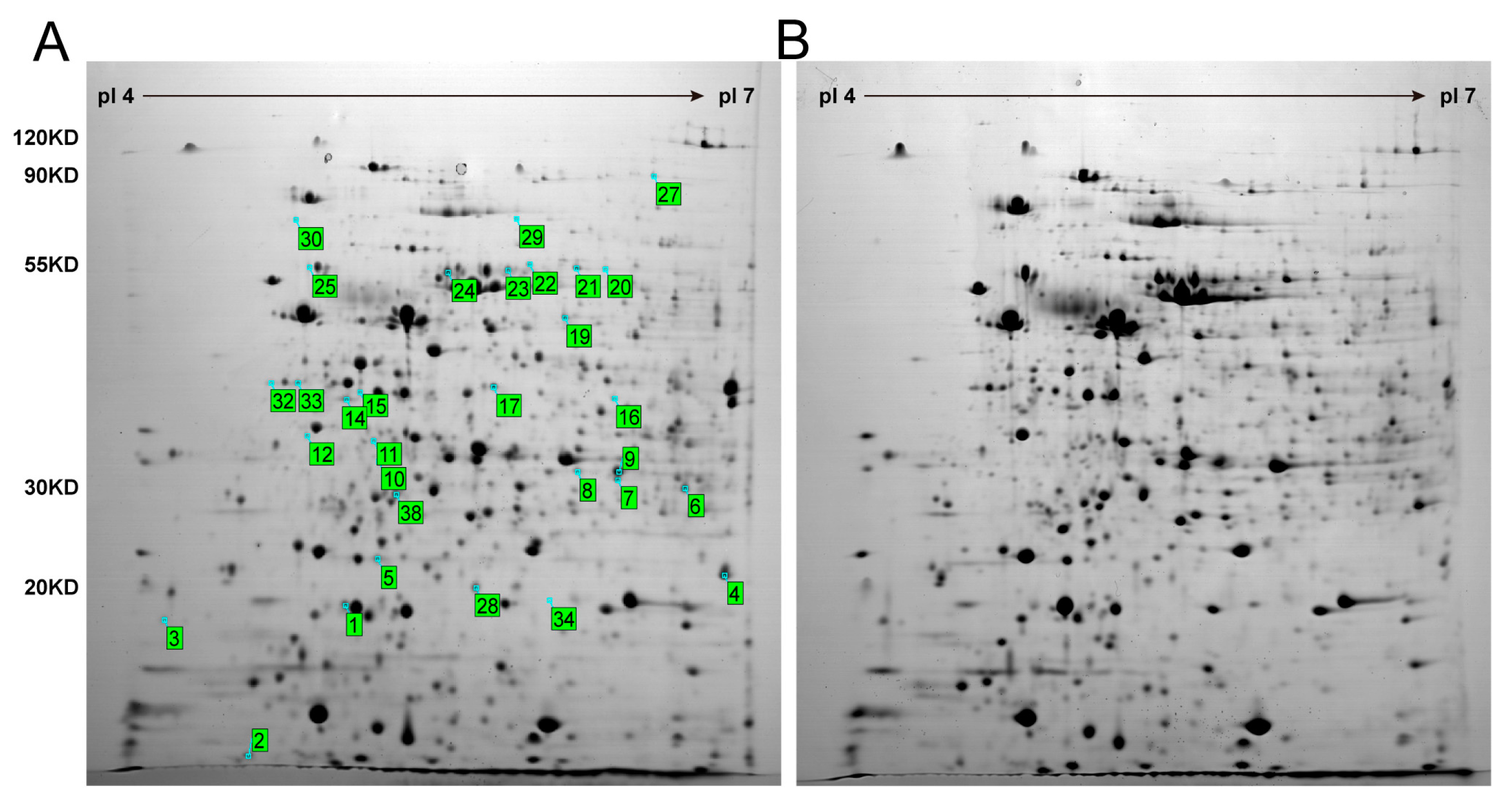Fermentation 09 00575 g002