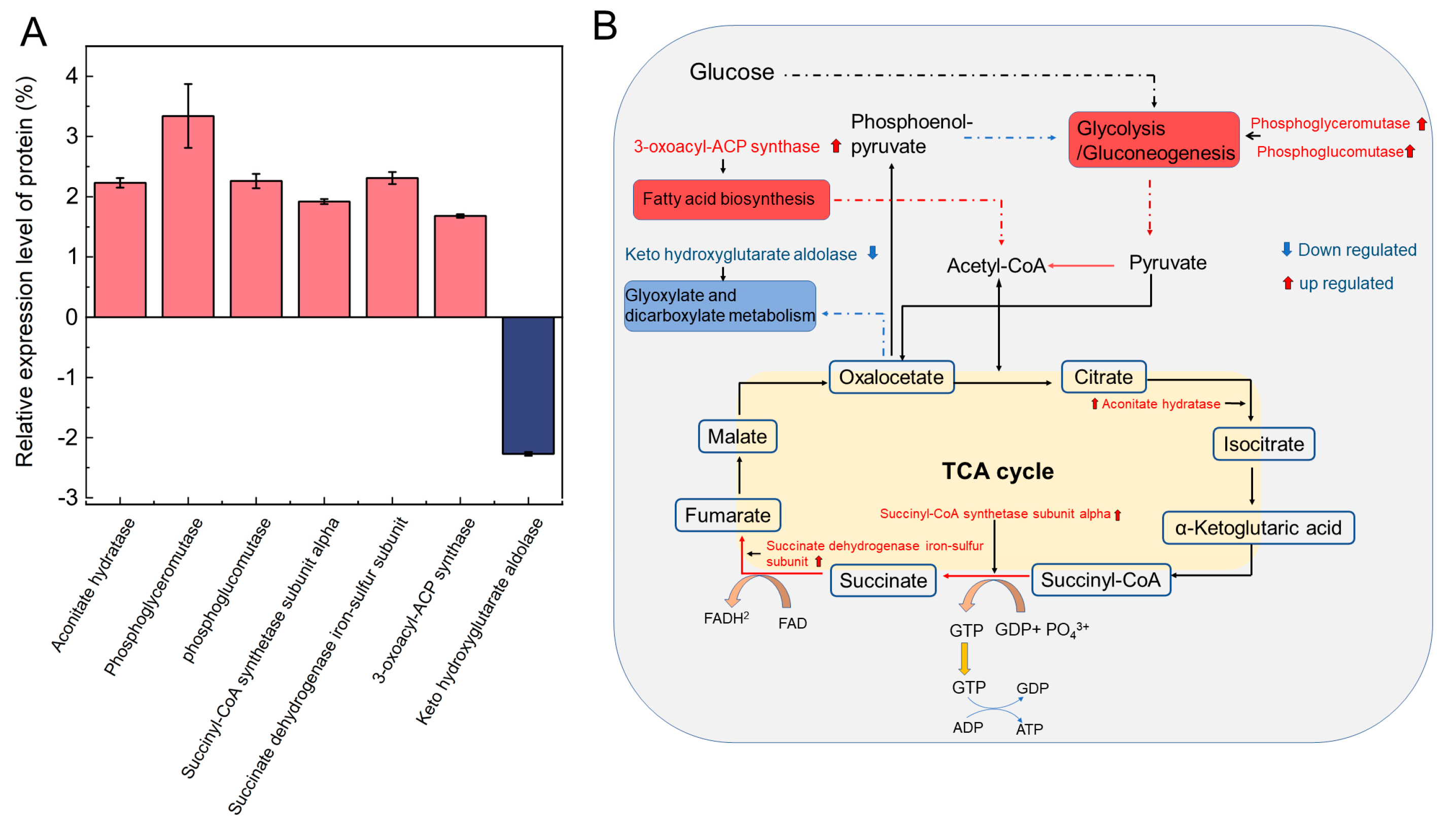 Fermentation 09 00575 g003