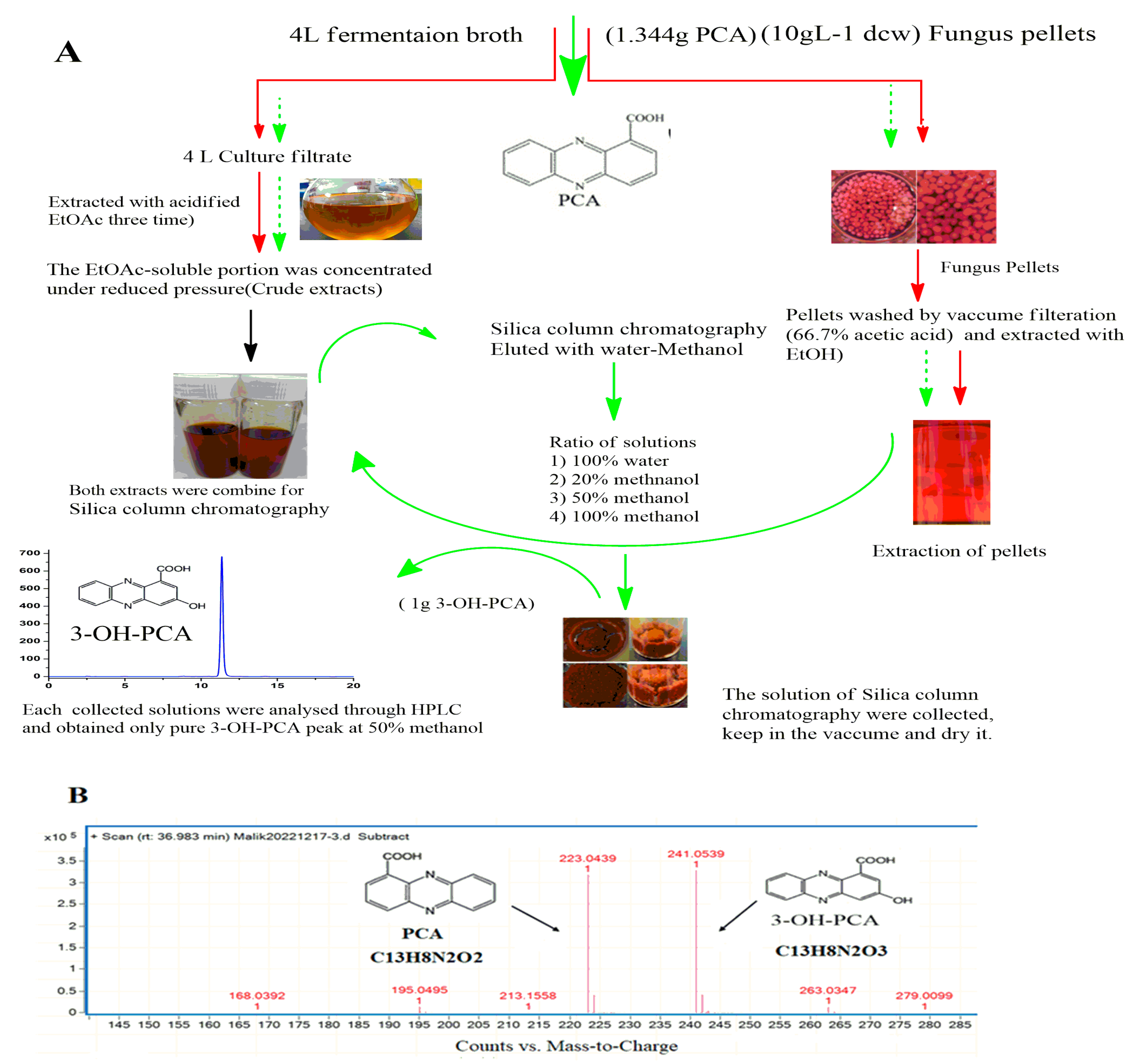 Fermentation 09 00579 g005
