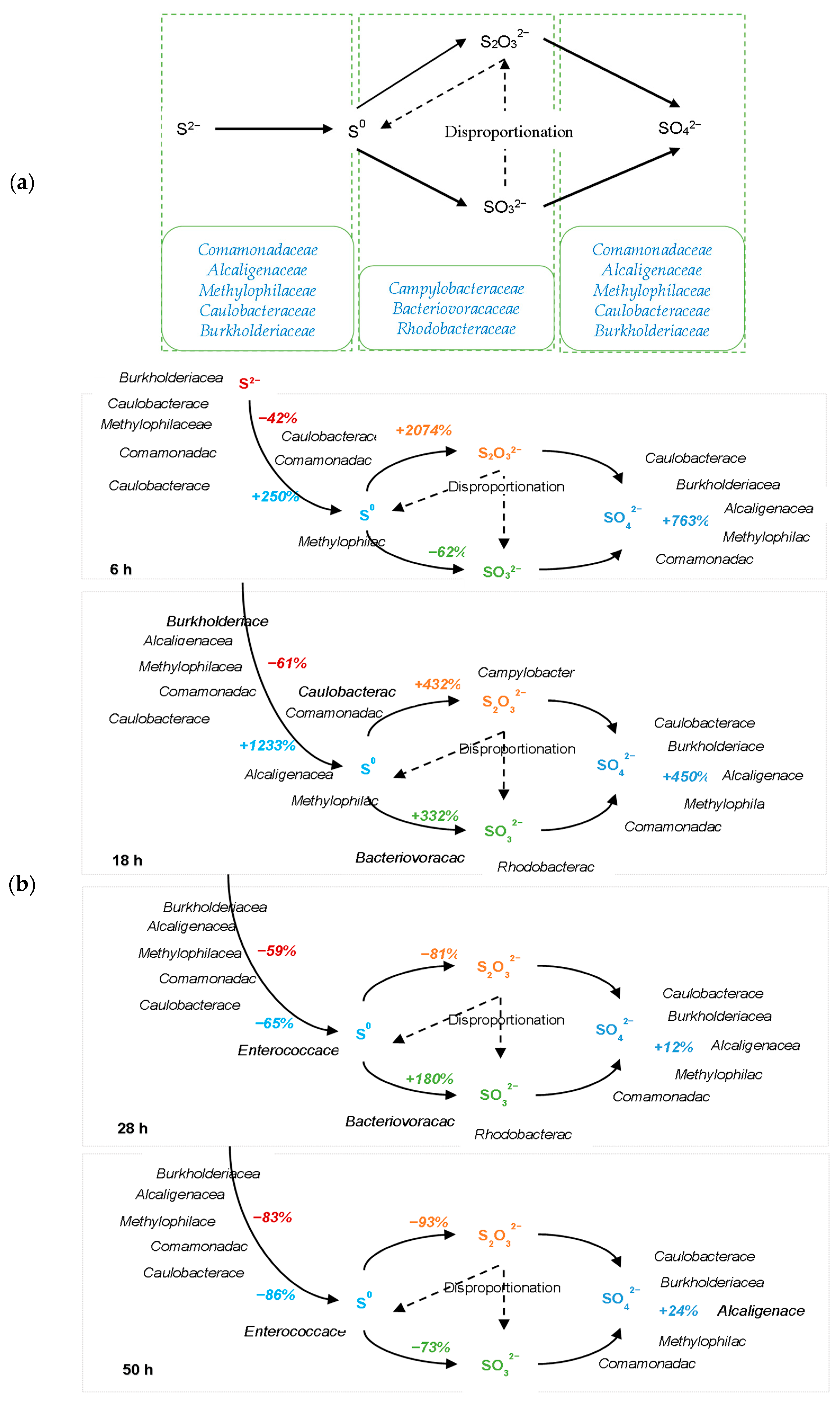 Fermentation 09 00592 g004