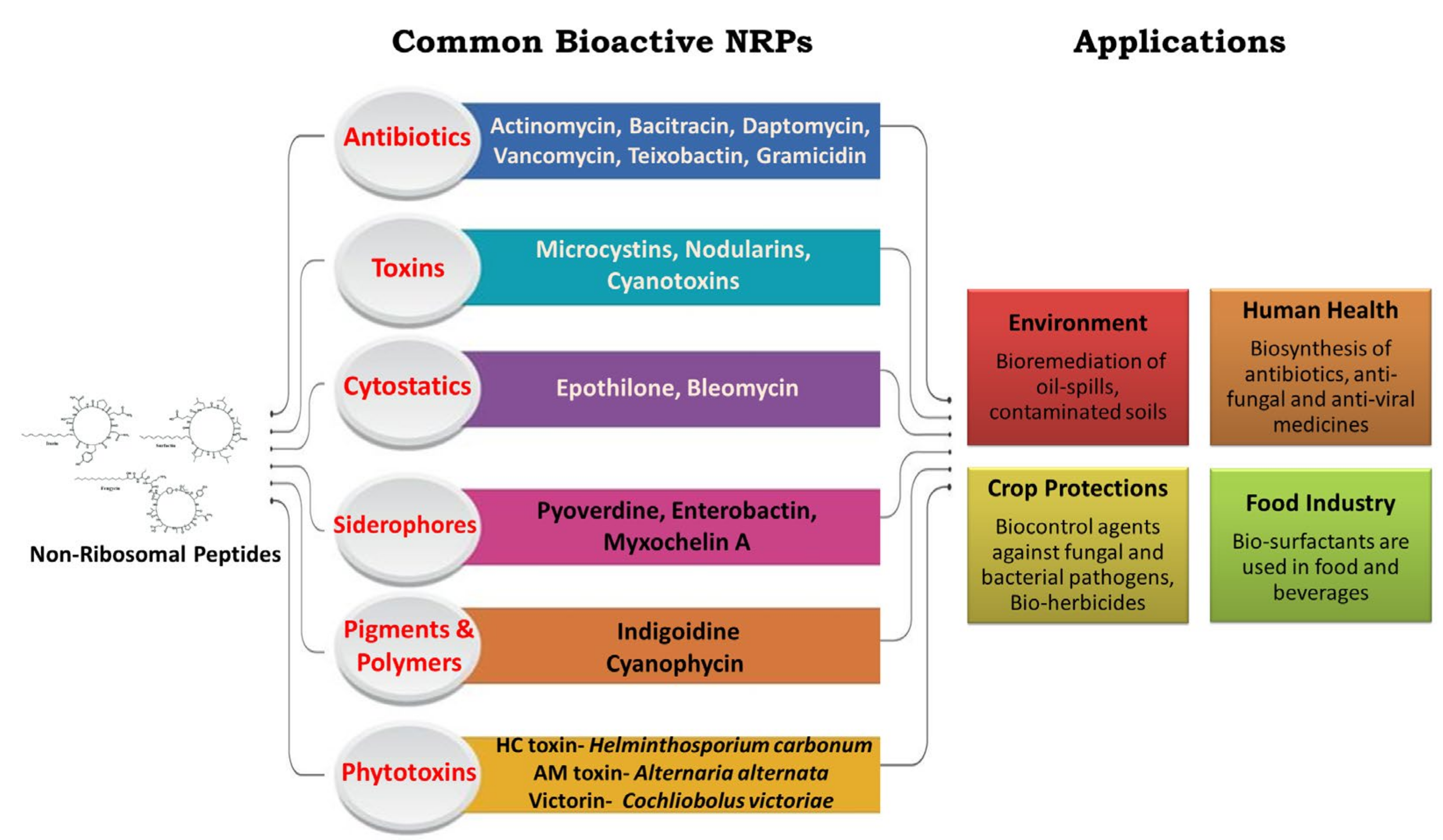 Fermentation 09 00597 g001